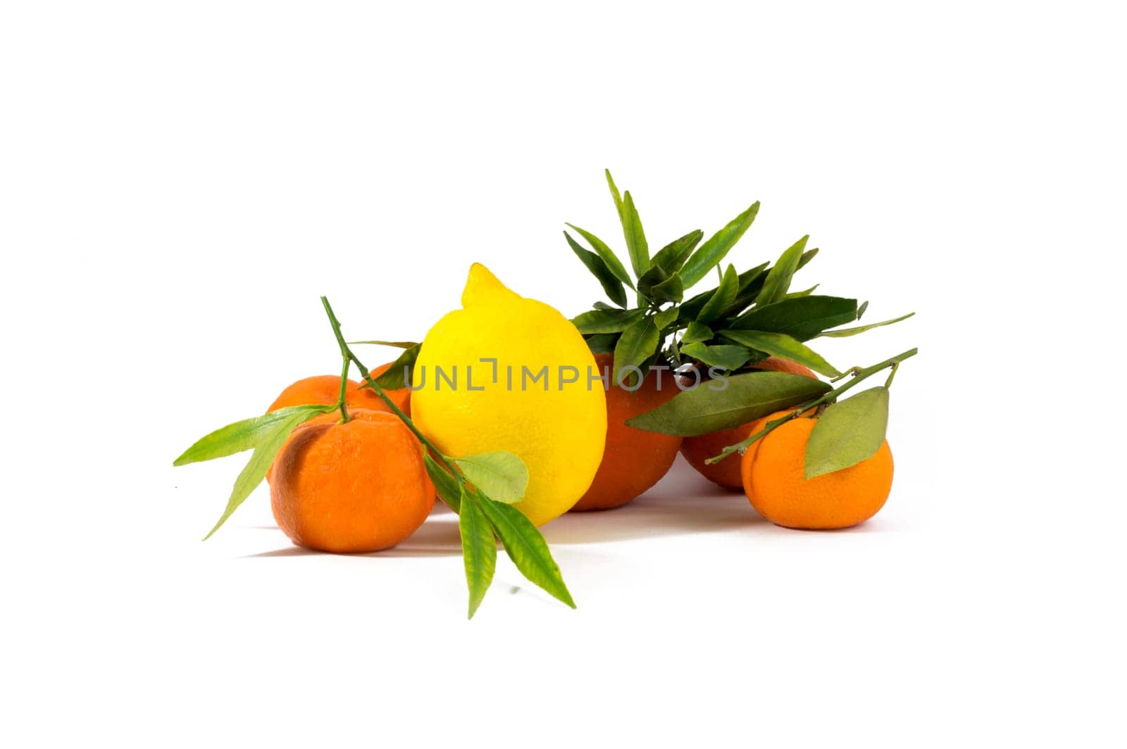 isolation image decomposition tangerines with one lemon