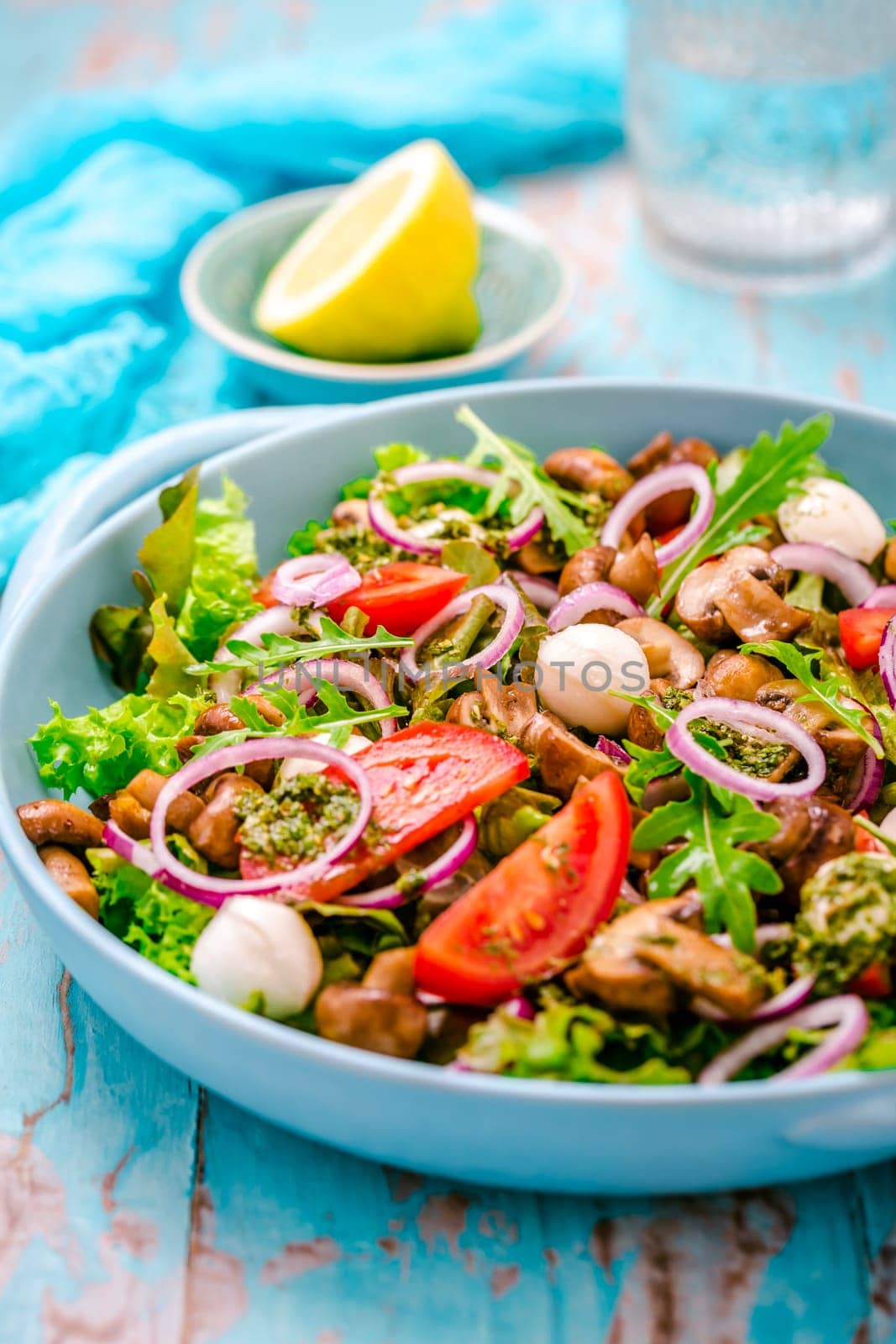 Vegetable salad with roasted champignons and mozzarella cheese with onions