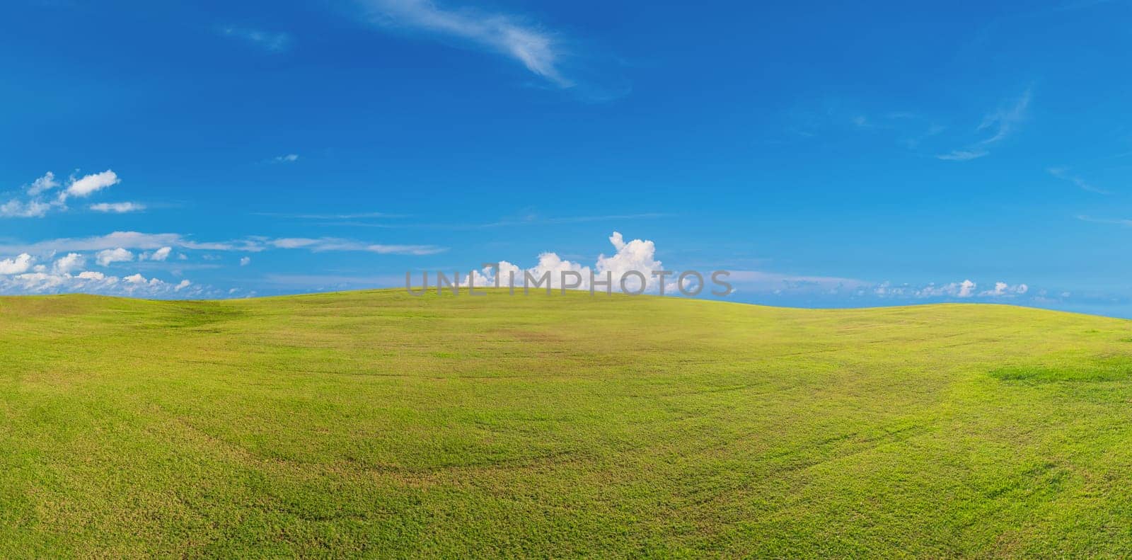 Panoramic green grass on golf field ,Panorama green grass field landscape