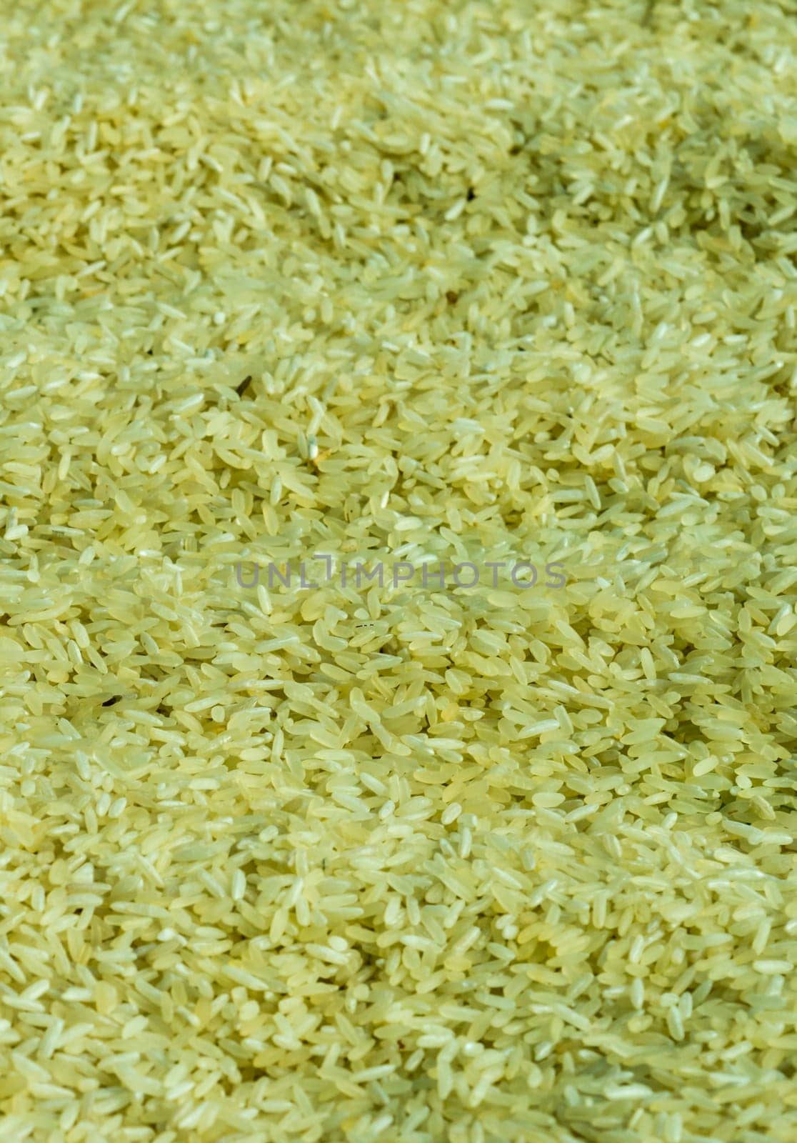 Full Frame Shot Of Rice Grain in Sunlight. Food Background. High Angle view. Flat Lay.