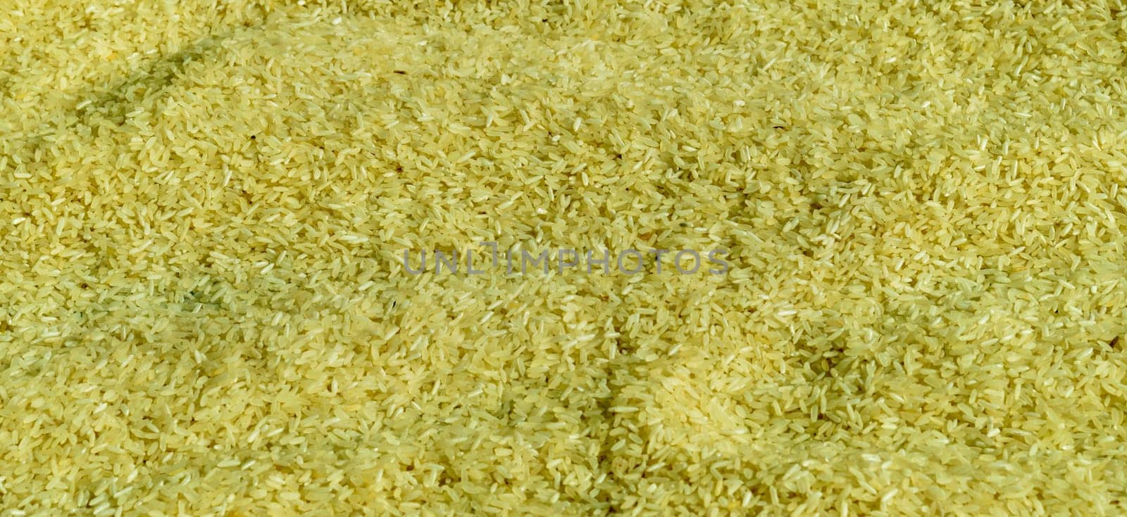 Full Frame Shot Of Rice Grain in Sunlight. Food Background. High Angle view. Flat Lay.