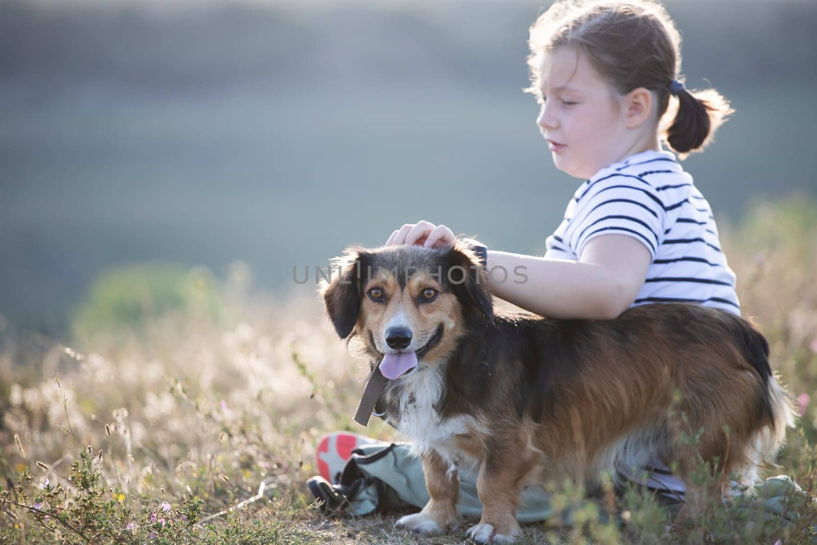 Child with her dog sitting and  in summer meadow