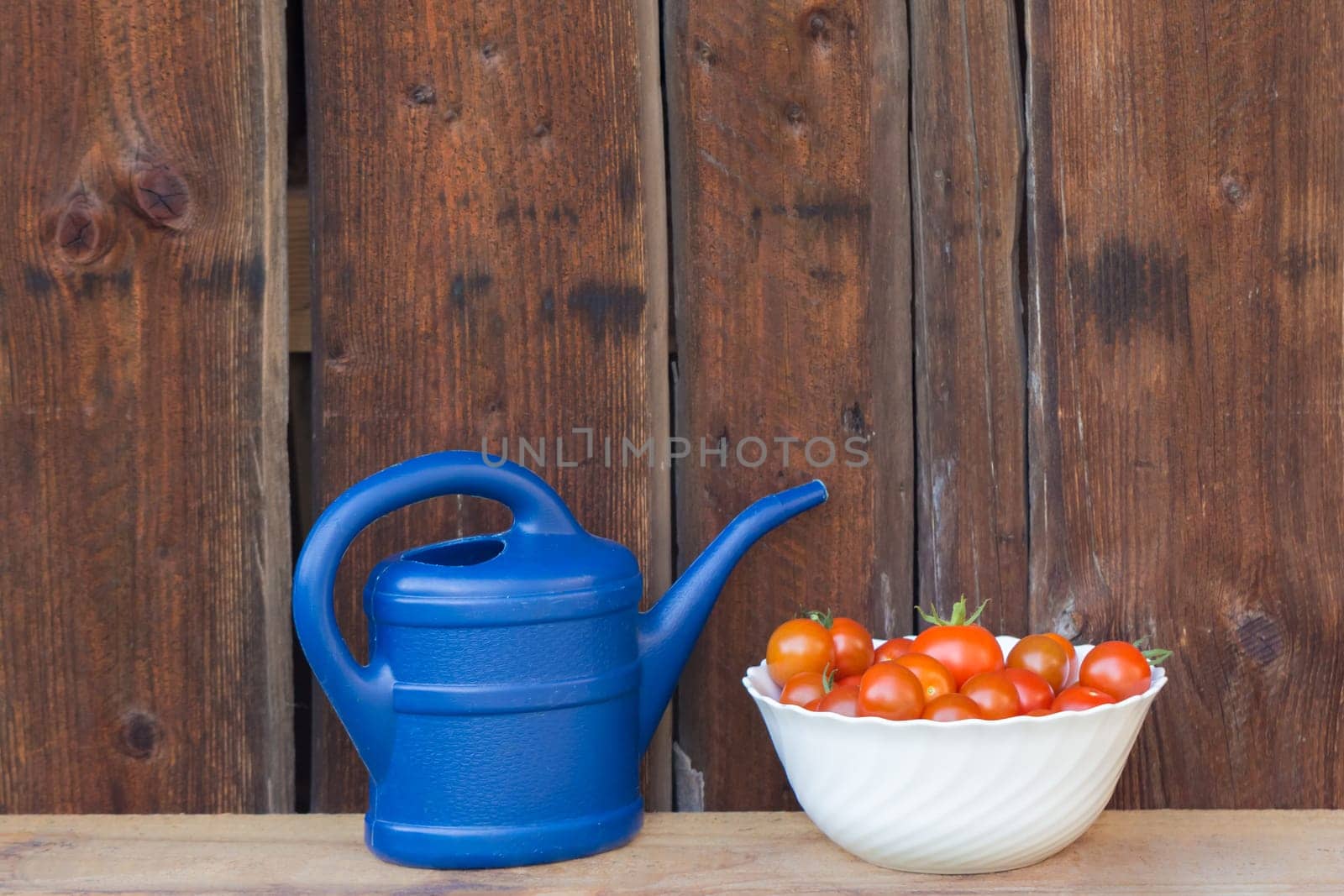 Gardening fresh and juicy vegetables from farming agriculture. Organic nature solanum bio tomato food on wooden copyspace background.