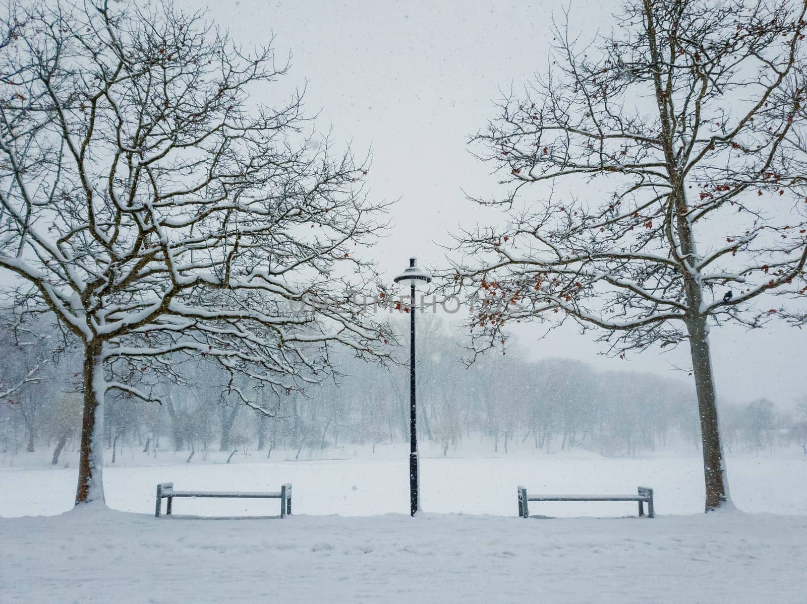Snowy winter morning in the city park. Bare trees, street lamp and benches covered with snow. Calm seasonal scene, cold air atmosphere and snowfall in the square. Silent and peaceful view