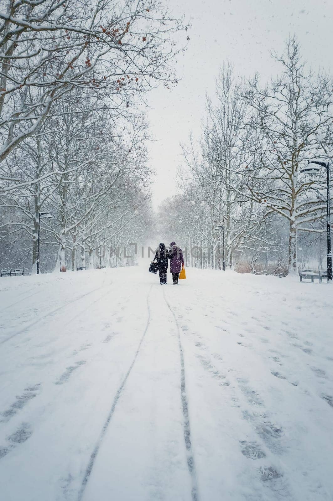 Two middle age women carrying pouches walks through the snowfall alongside the alley in the winter park. Wonderful snowing scene on the street. Cold season beauty. Blizzard in the city square