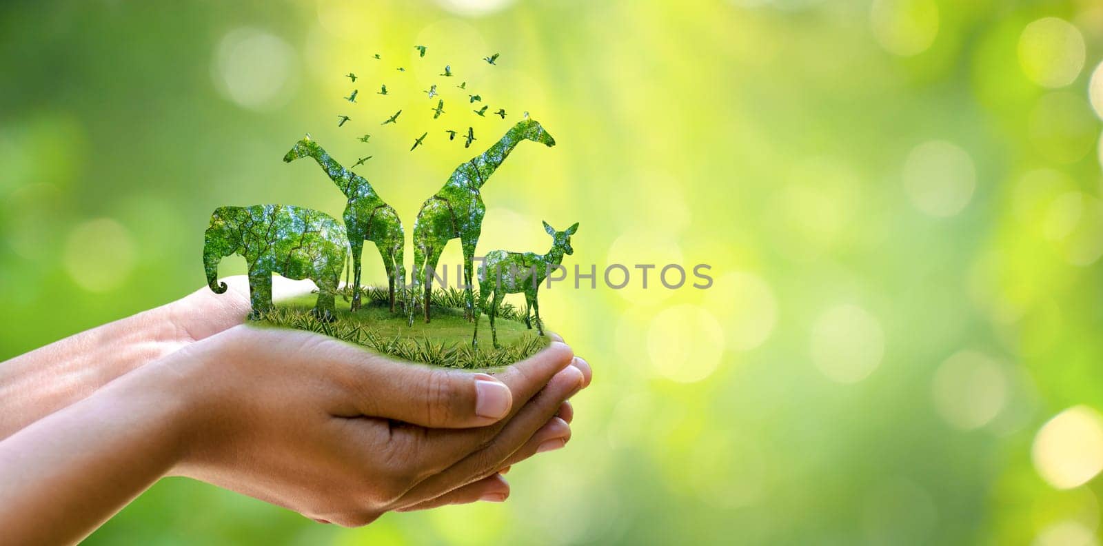forest silhouette in the shape of a wild animal wildlife and forest conservation concept