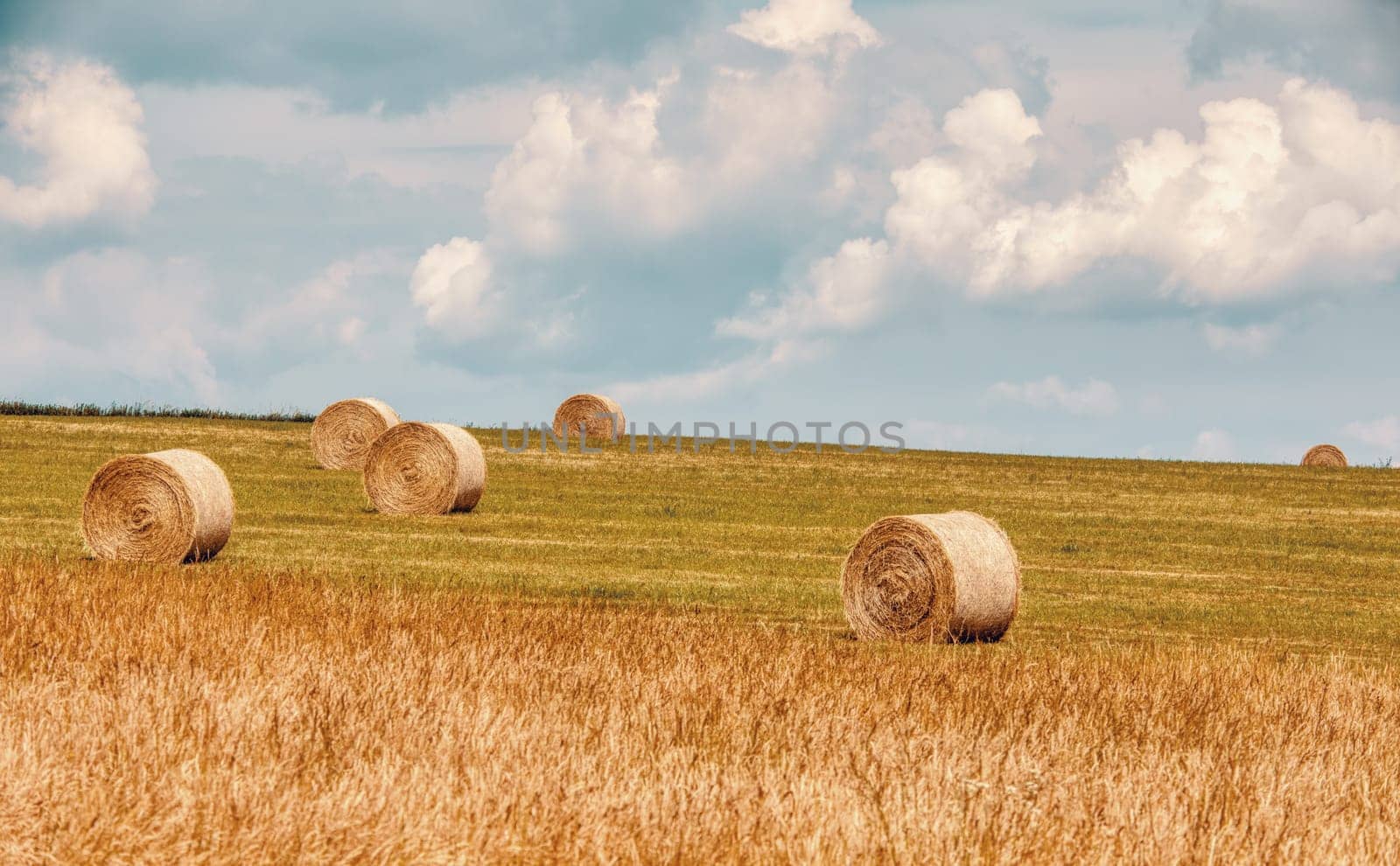 Straw bales stacked in a field at summer time, Vysocina Czech Republic