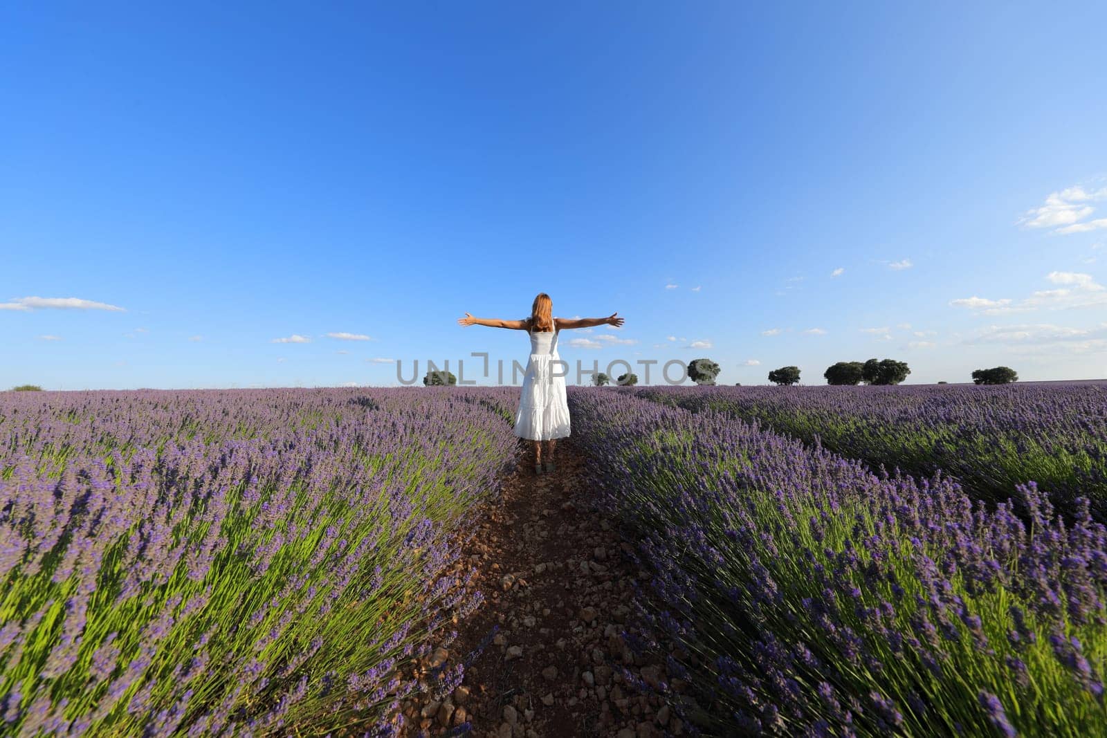 Woman celebrating outstretching arms in a lavender field