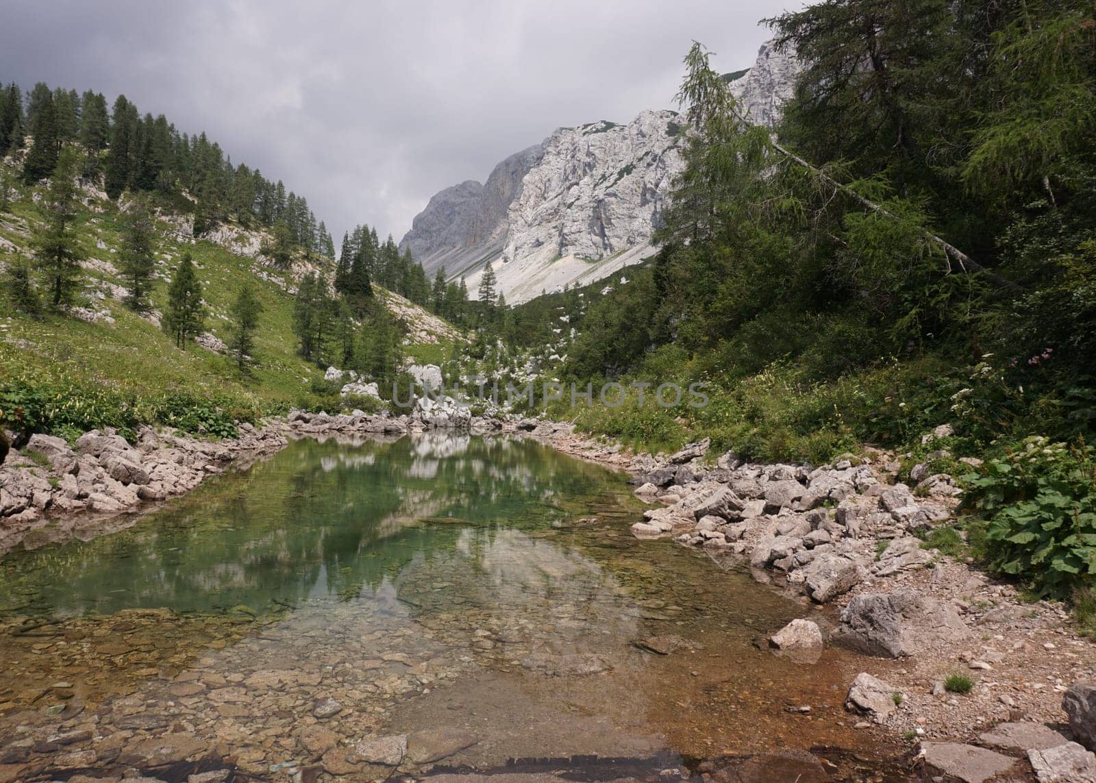 Reflection on a small pond on the Seven Lakes Valley HIke, Slovenia 2020