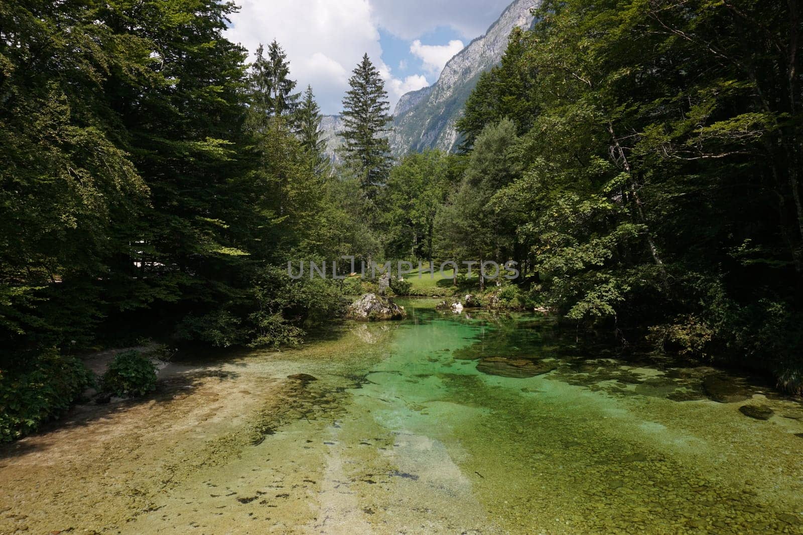Beautiful reflection on the green water of a Slovenian river, Slovenia 2020