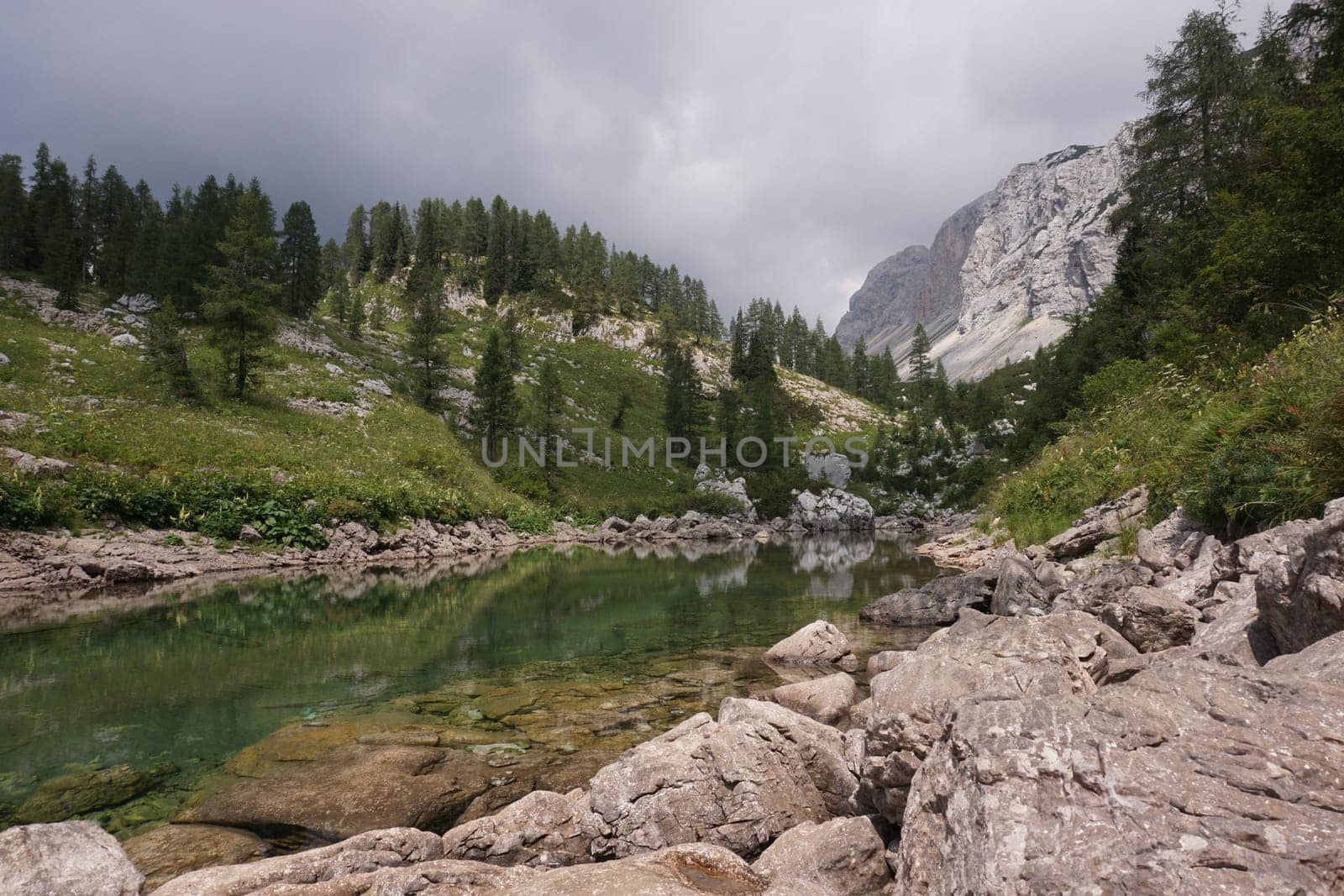 Reflecting water on a small pond on the Seven Lakes Valley Hike, Slovenia 2020