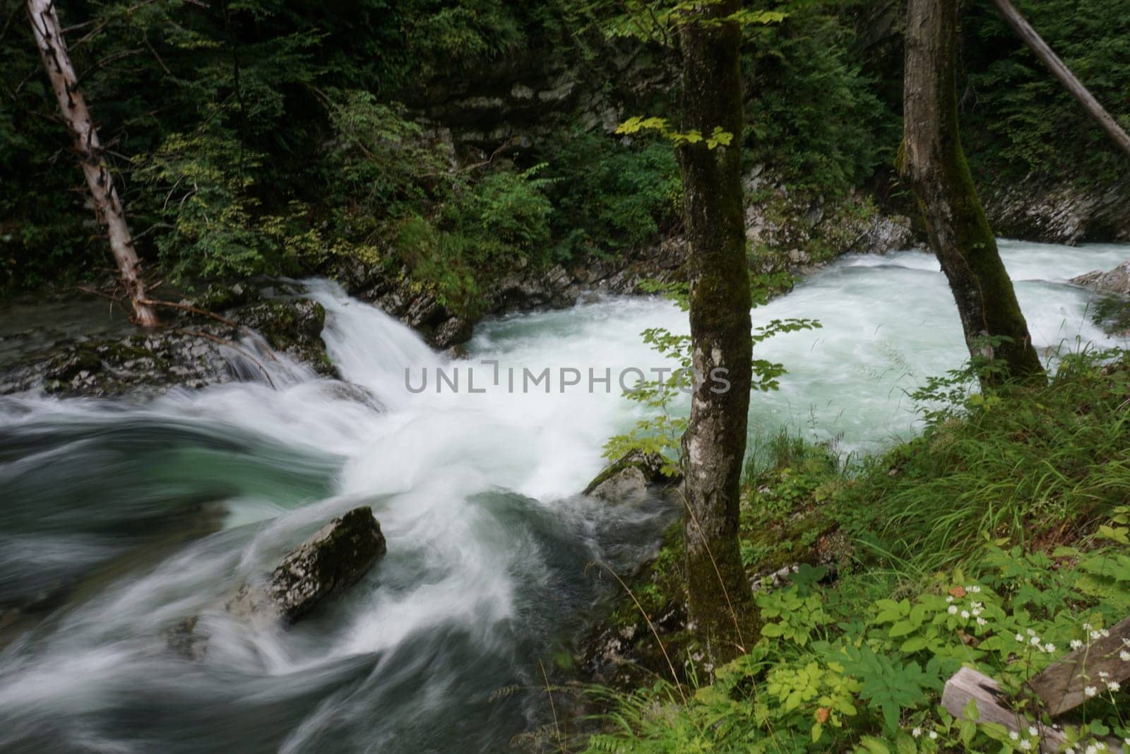 Long exposure at Vintgar Gorge in Bled, Slovenia 2020