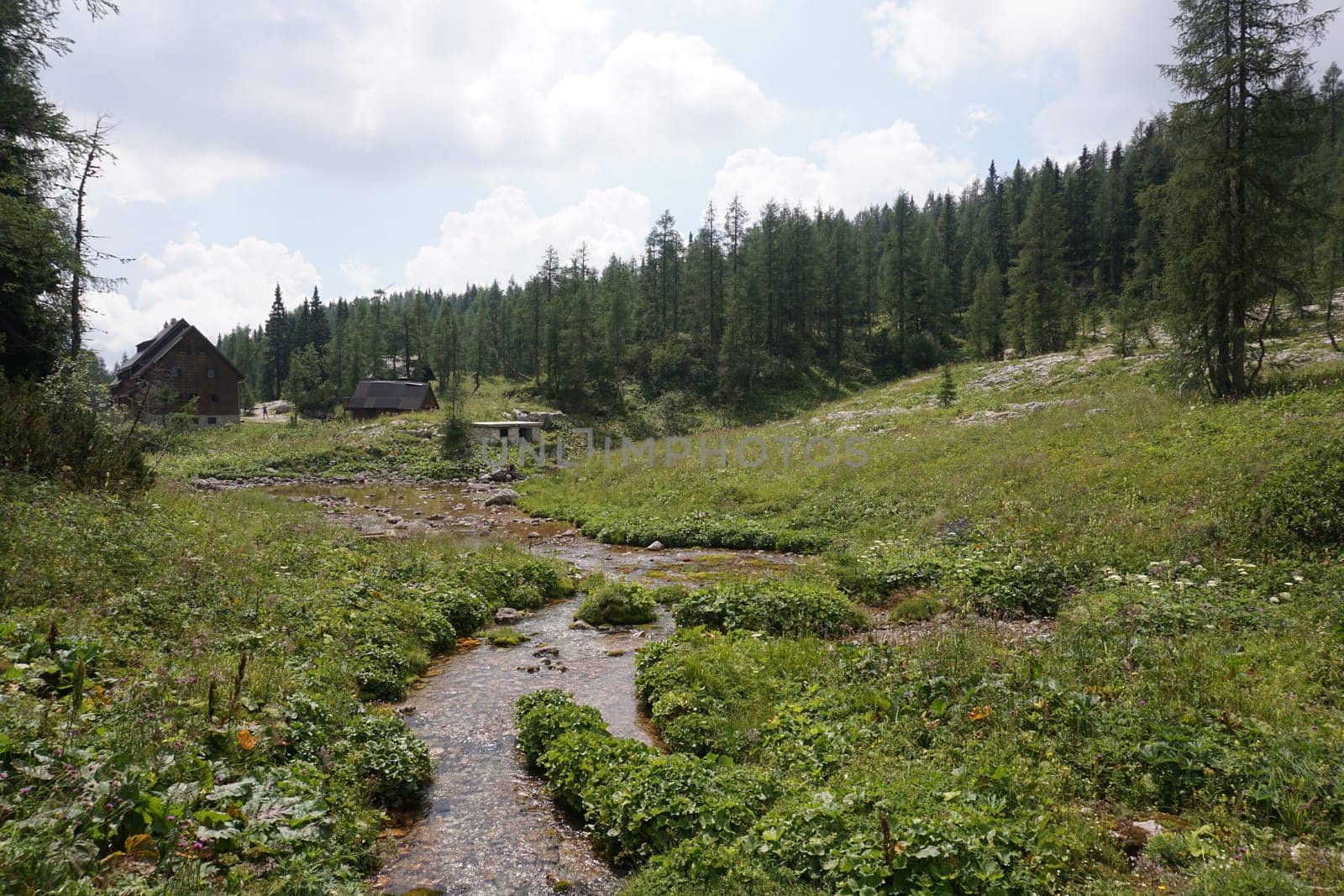Small creek in front of Mountain Hut on the Seven Lakes Valley HIke, Slovenia 2020