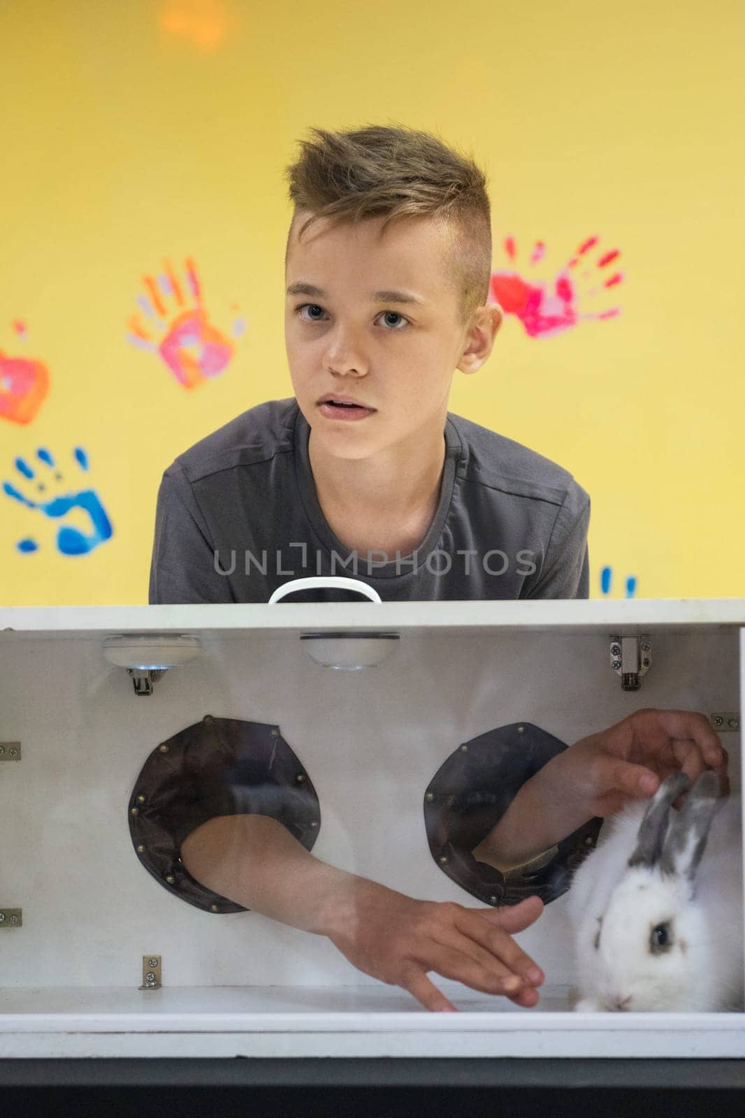 Blind guess game by touch . Young boy guesses by touch that he does not see in the box, rabbit in the box. Happy birthday celebrating or games with friends concept