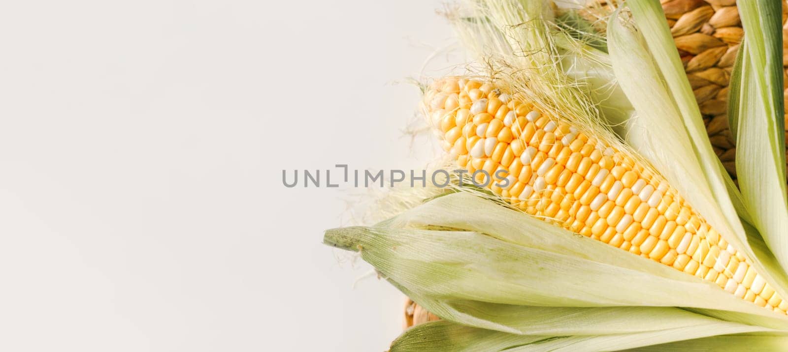 Fresh corn on cob with husk on white, flat lay, top view. Vegan food, agriculture