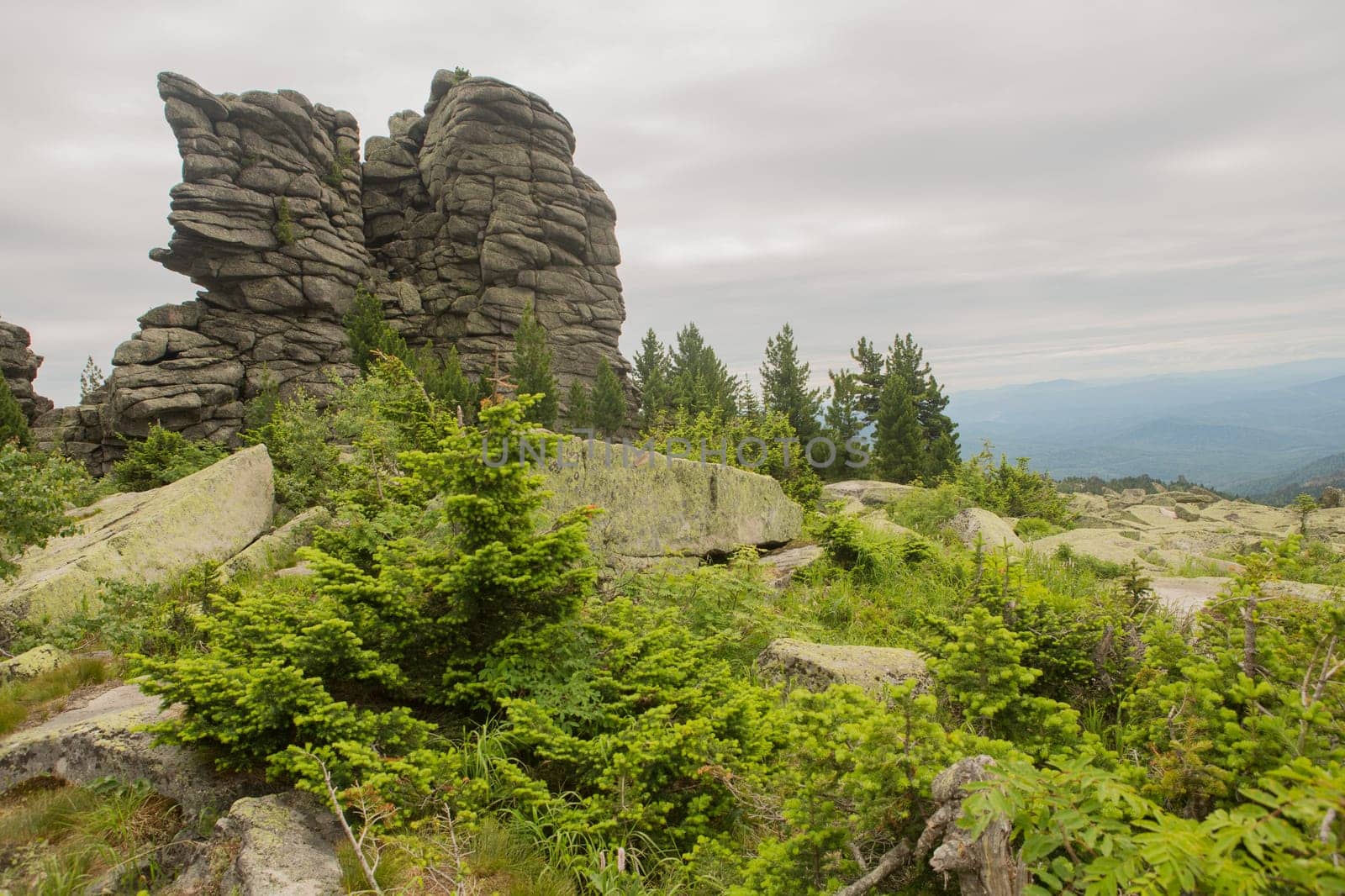 large kurum stones lie in the forest in the mountains, stones covered with moss, against the background of the forest, mountain landscape, high in the mountains..