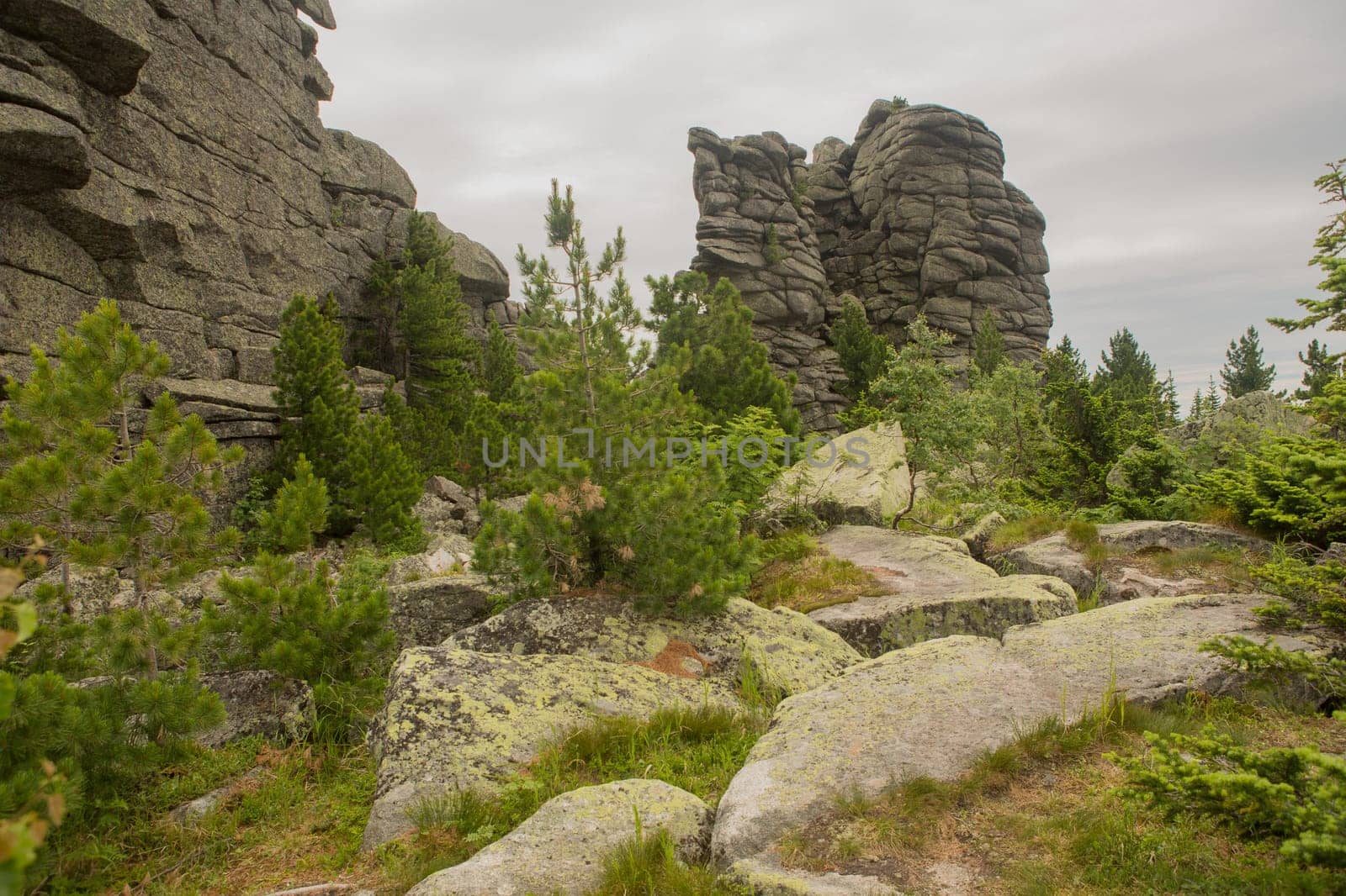 large kurum stones lie in the forest in the mountains, stones covered with moss, against the background of the forest, mountain landscape, high in the mountains..