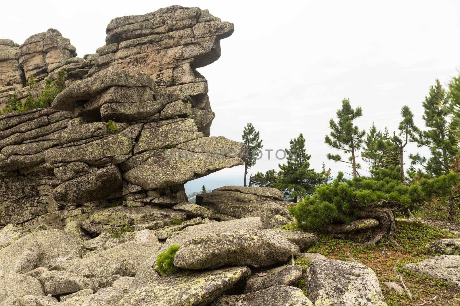 large kurum stones lie in the forest in the mountains, stones covered with moss, against the background of the forest, mountain landscape, high in the mountains..