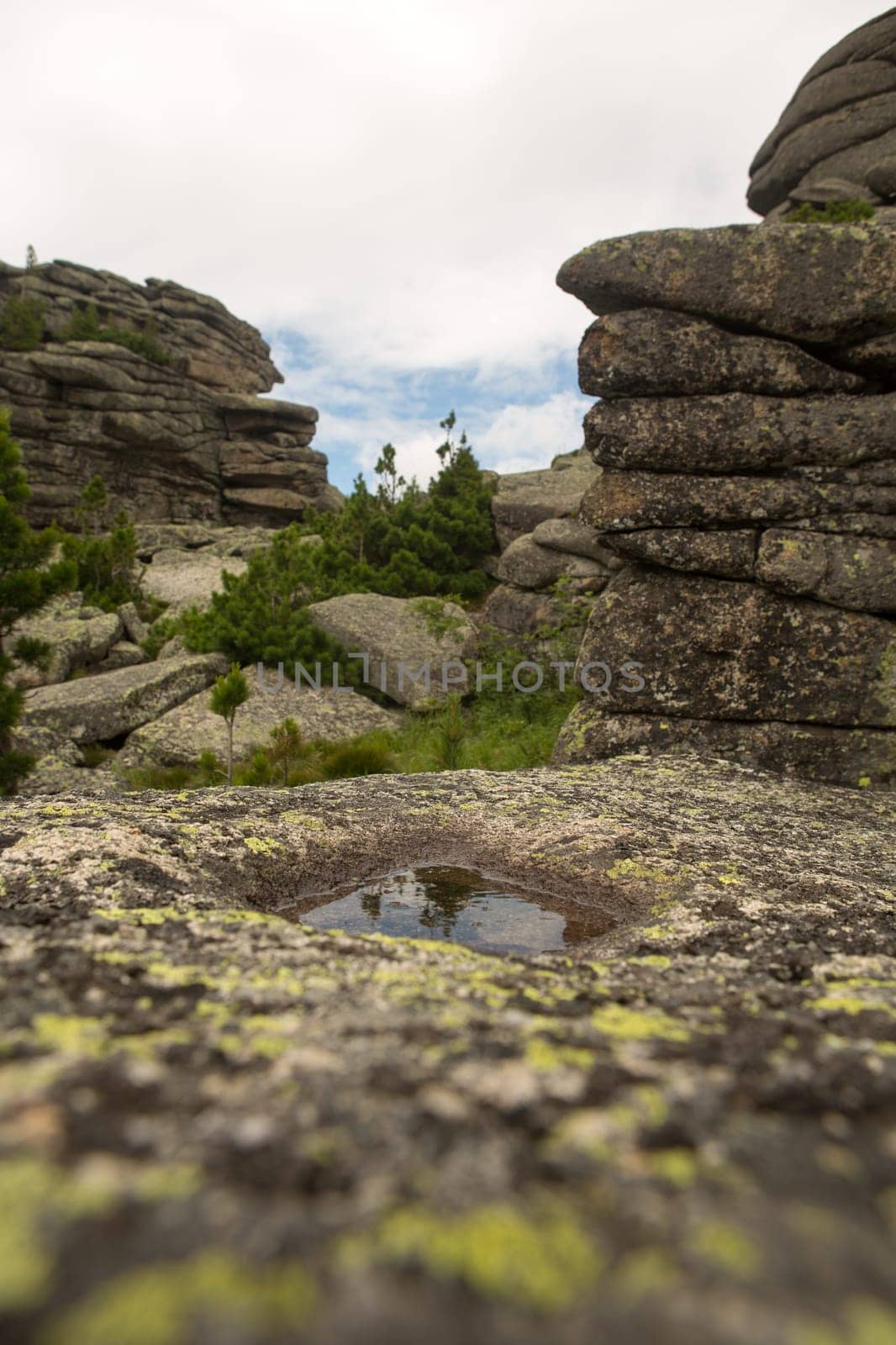 large kurum stones lie in the forest in the mountains, stones covered with moss, against the background of the forest, mountain landscape, high in the mountains..