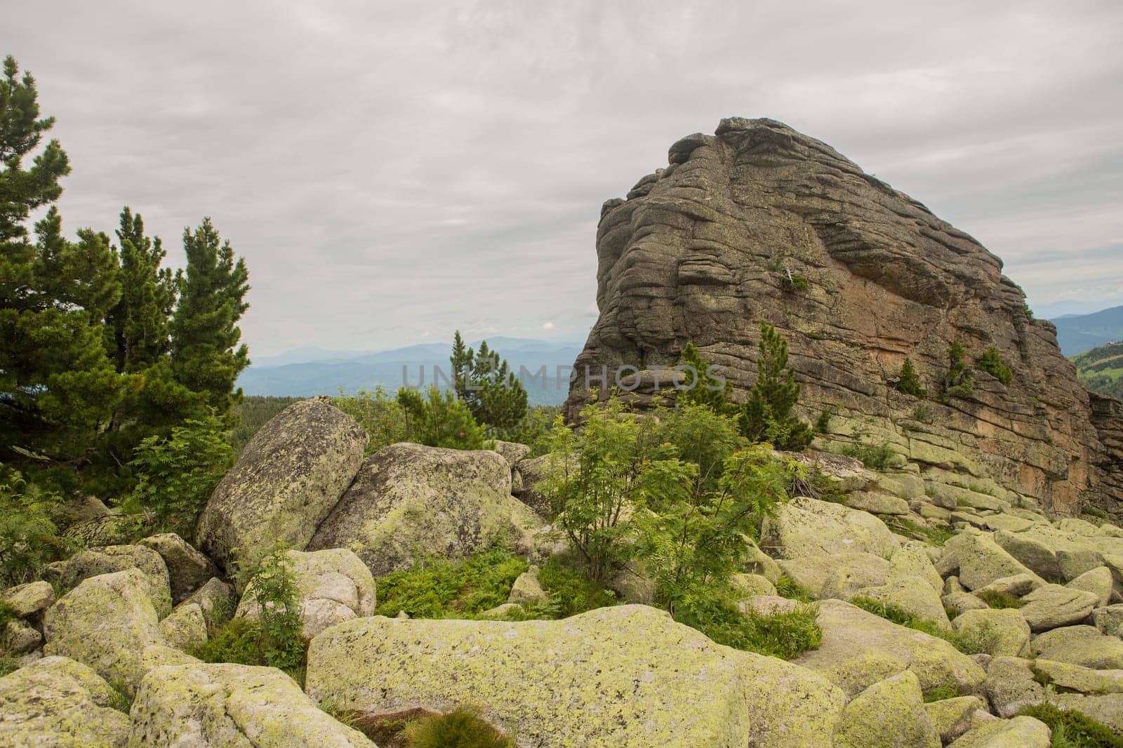 large kurum stones lie in the forest in the mountains, stones covered with moss, against the background of the forest, mountain landscape, high in the mountains..