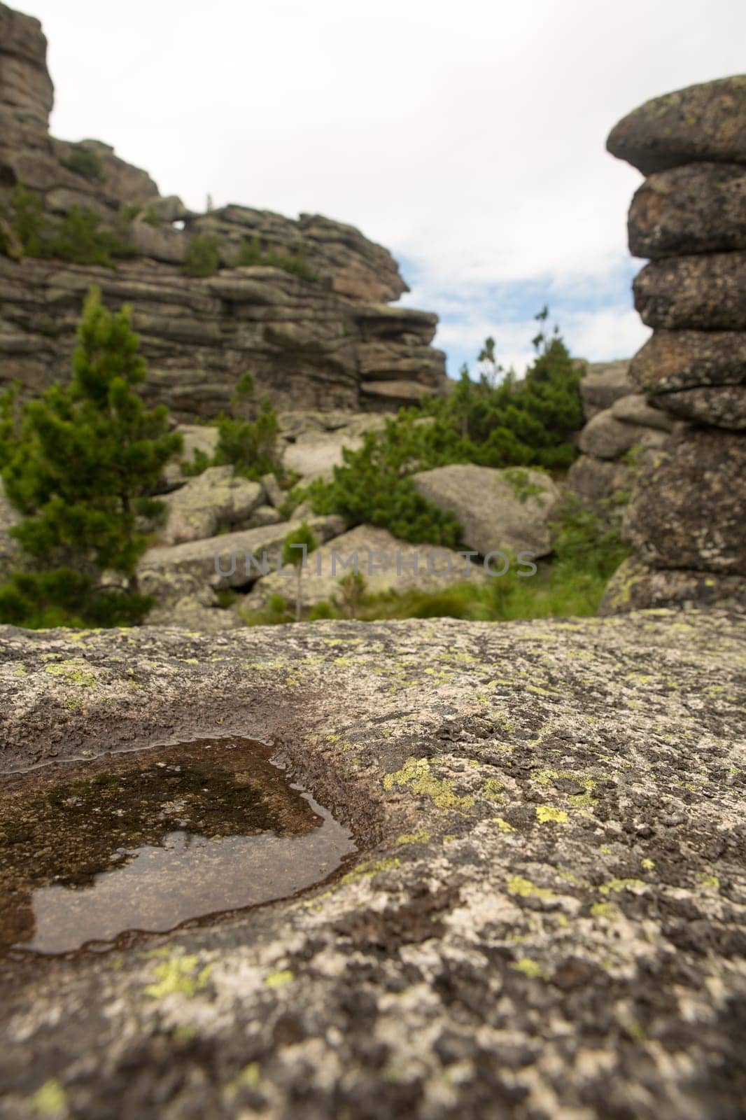 large kurum stones lie in the forest in the mountains, stones covered with moss, against the background of the forest, mountain landscape, high in the mountains..