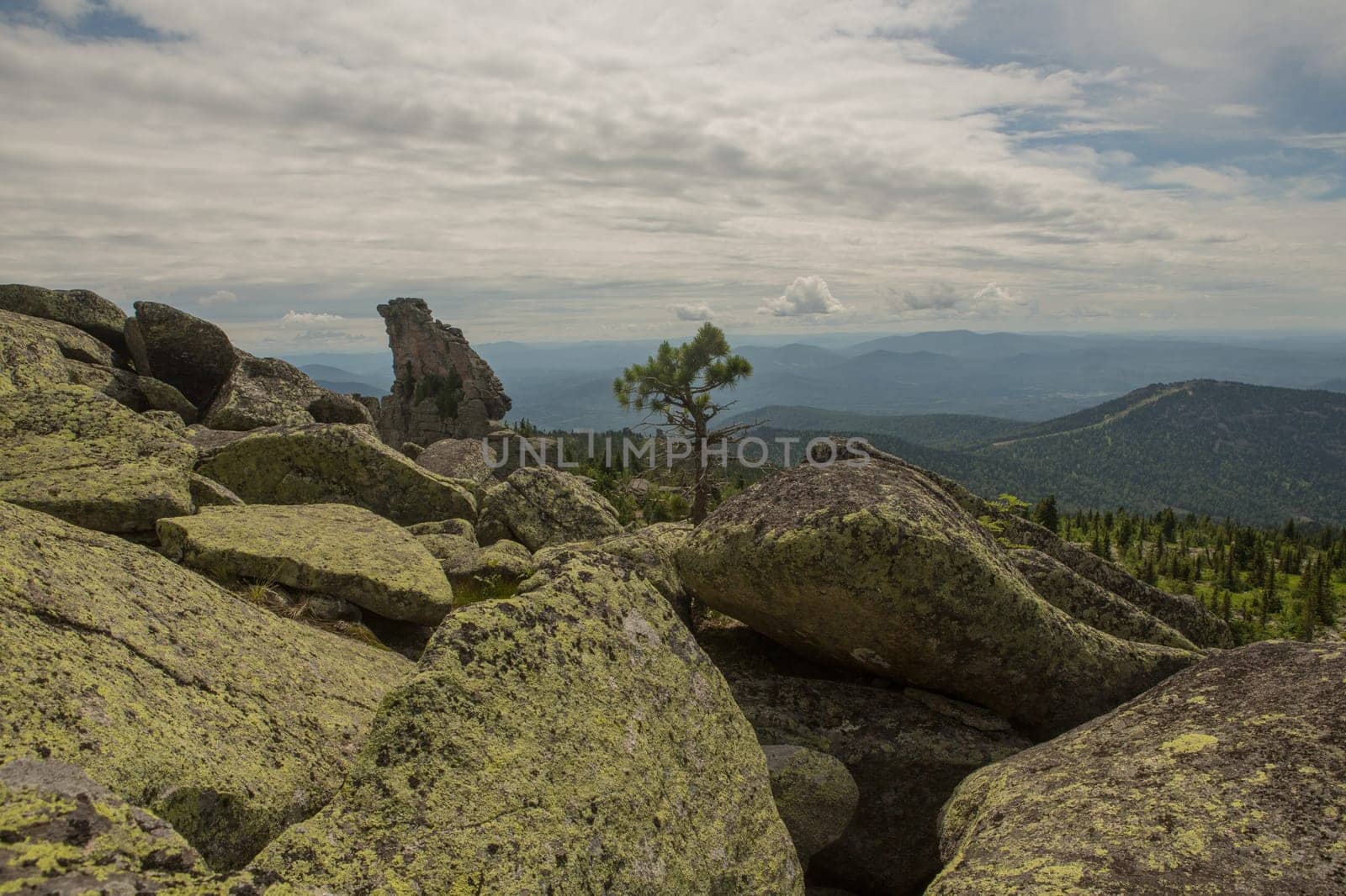 large kurum stones lie in the forest in the mountains, stones covered with moss, against the background of the forest, mountain landscape, high in the mountains..