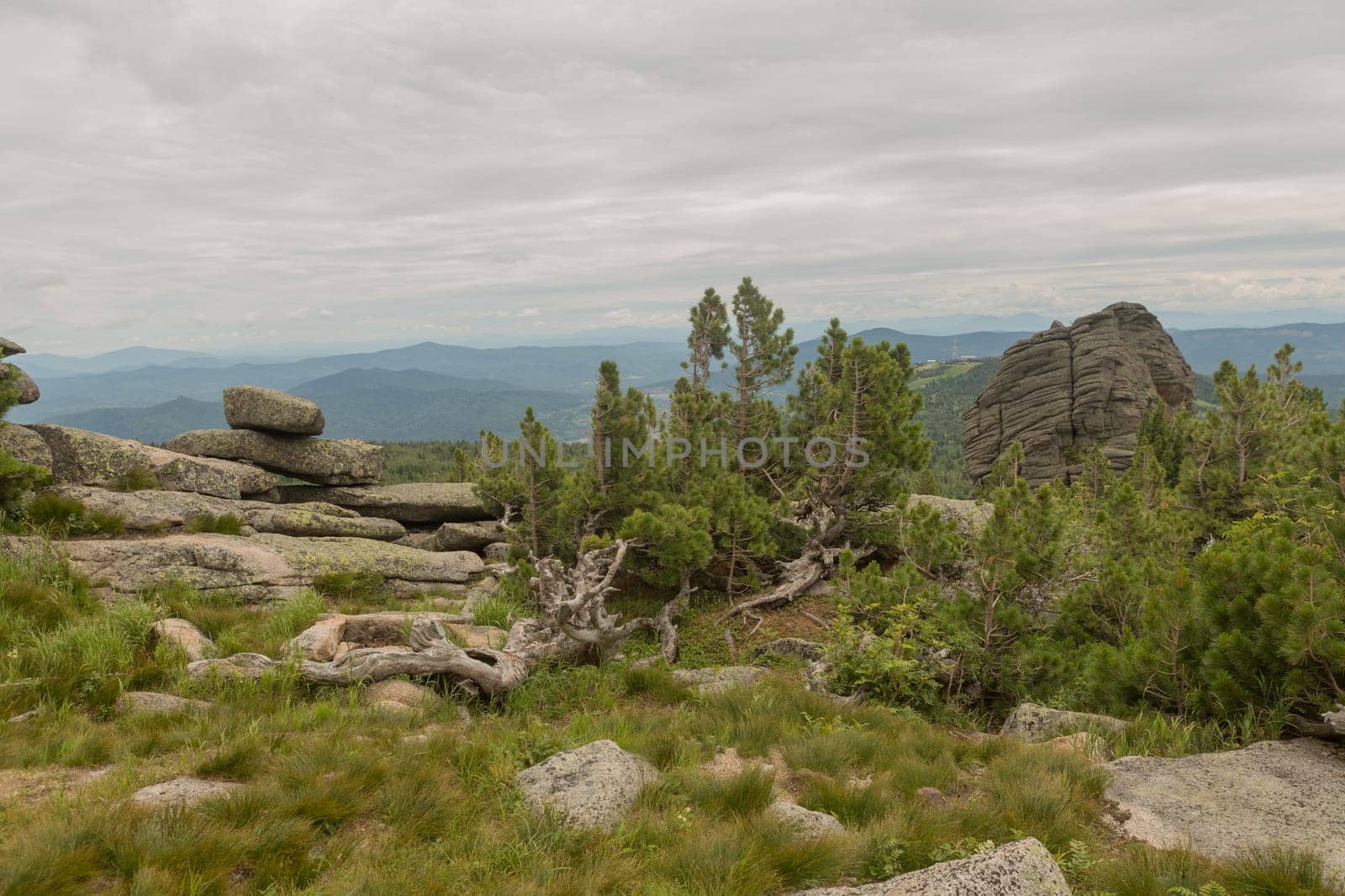 large kurum stones lie in the forest in the mountains, stones covered with moss, against the background of the forest, mountain landscape, high in the mountains..