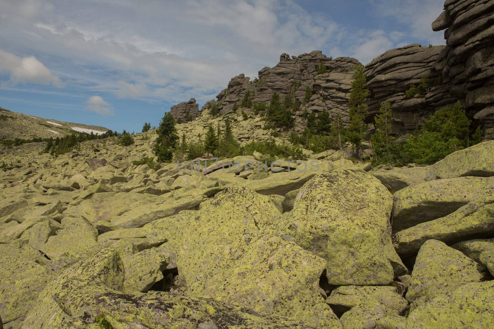 large kurum stones lie in the forest in the mountains, stones covered with moss, against the background of the forest, mountain landscape, high in the mountains..