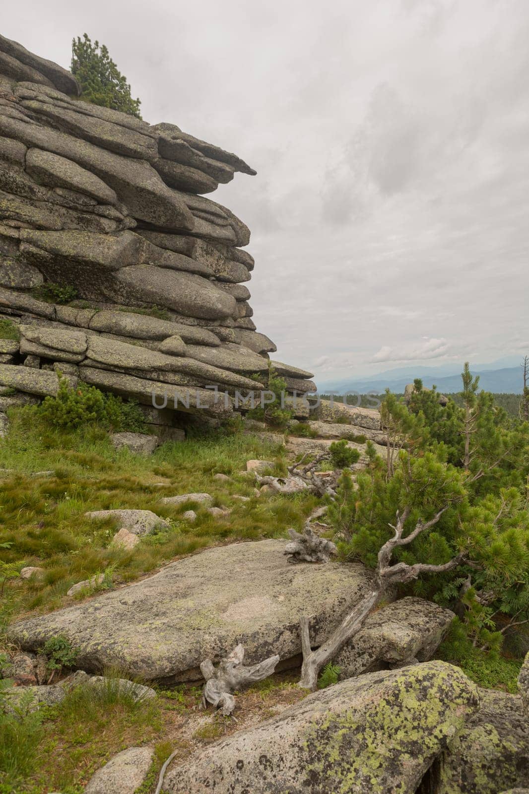 large kurum stones lie in the forest in the mountains, stones covered with moss, against the background of the forest, mountain landscape, high in the mountains..
