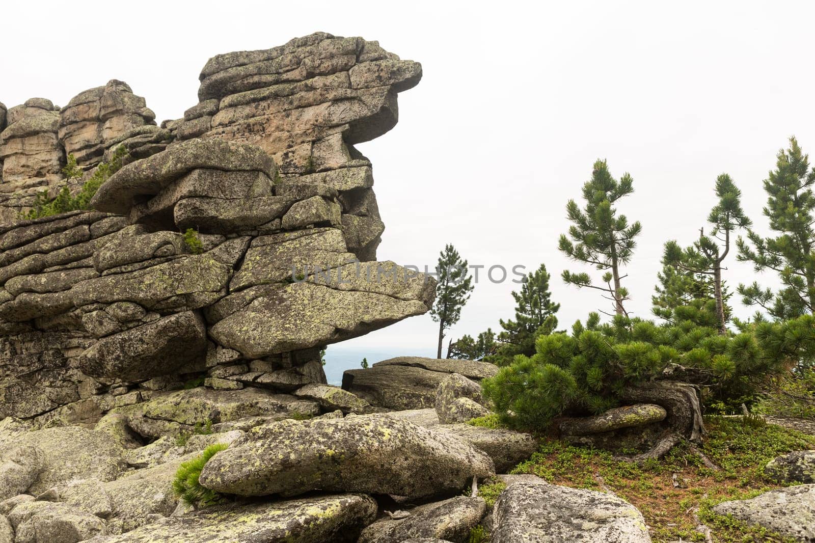 large kurum stones lie in the forest in the mountains, stones covered with moss, against the background of the forest, mountain landscape, high in the mountains..