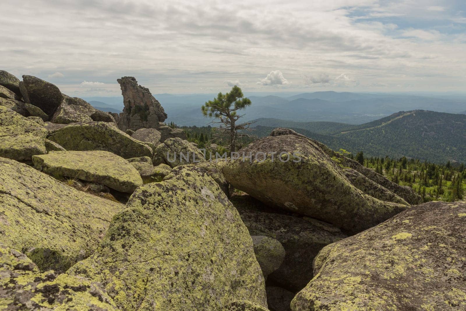 large kurum stones lie in the forest in the mountains, stones covered with moss, against the background of the forest, mountain landscape, high in the mountains..