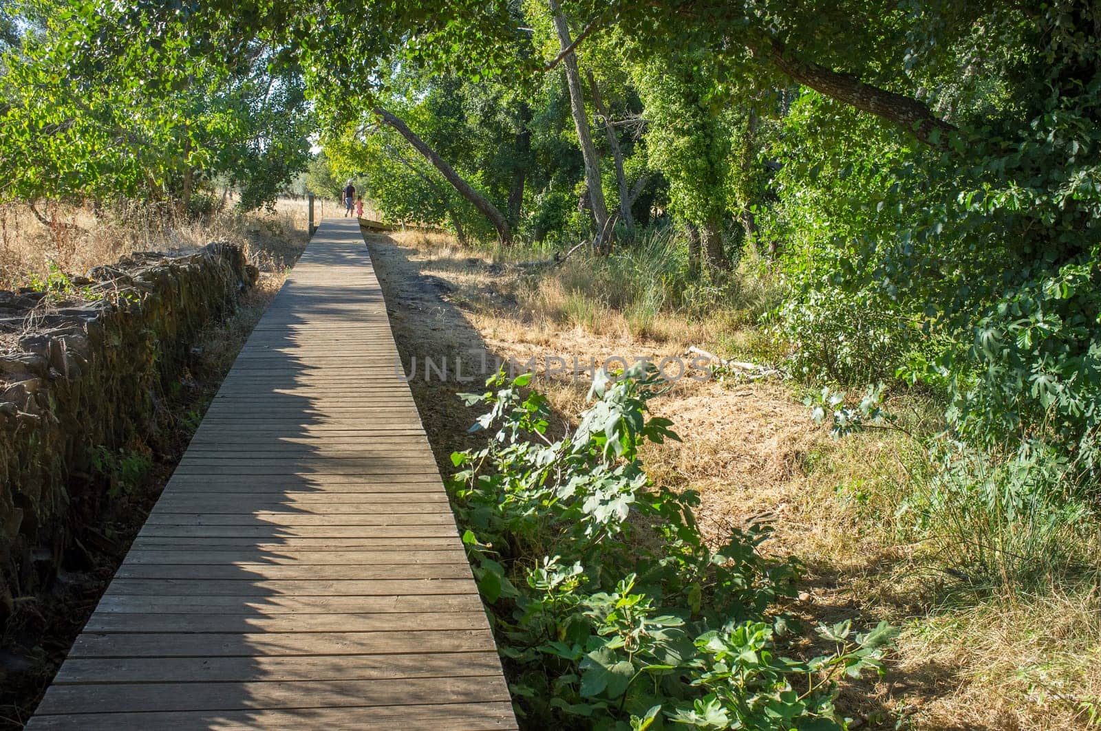 Gevora river, La Codosera, Badajoz, Extremadura, Spain. Senior man walking by footbridge with grandchild