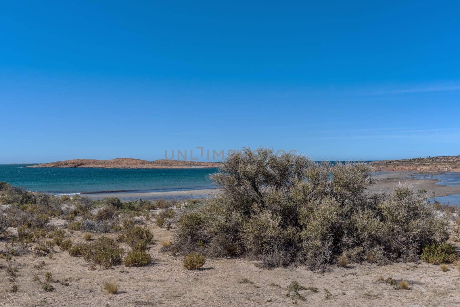 argentinian atlantic coast north of Comodoro Rivadavia