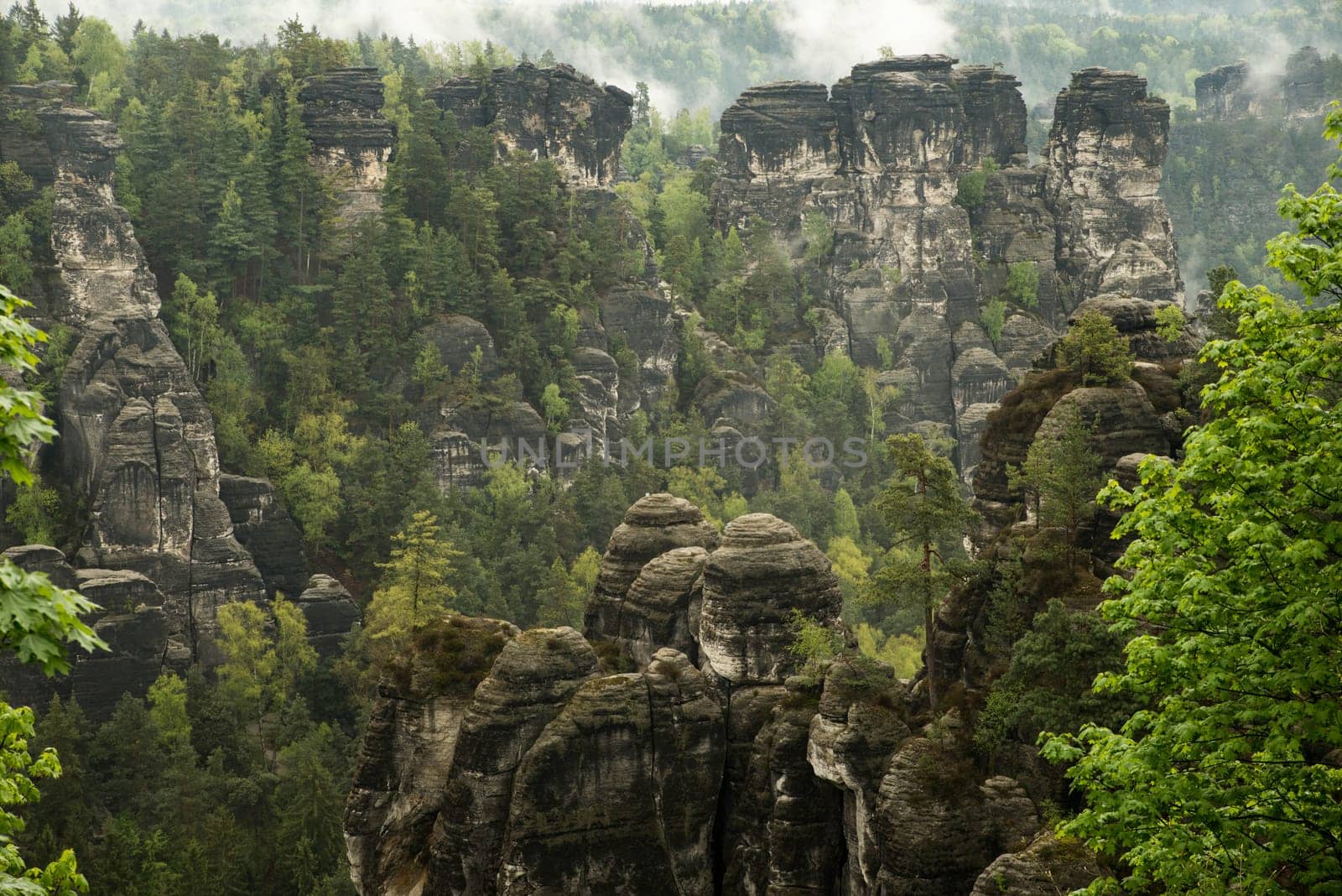 Bastei in the elbe sandstone mountains in the saxon switzerland in Germany, Elbsandsteingebirge near Dresden
