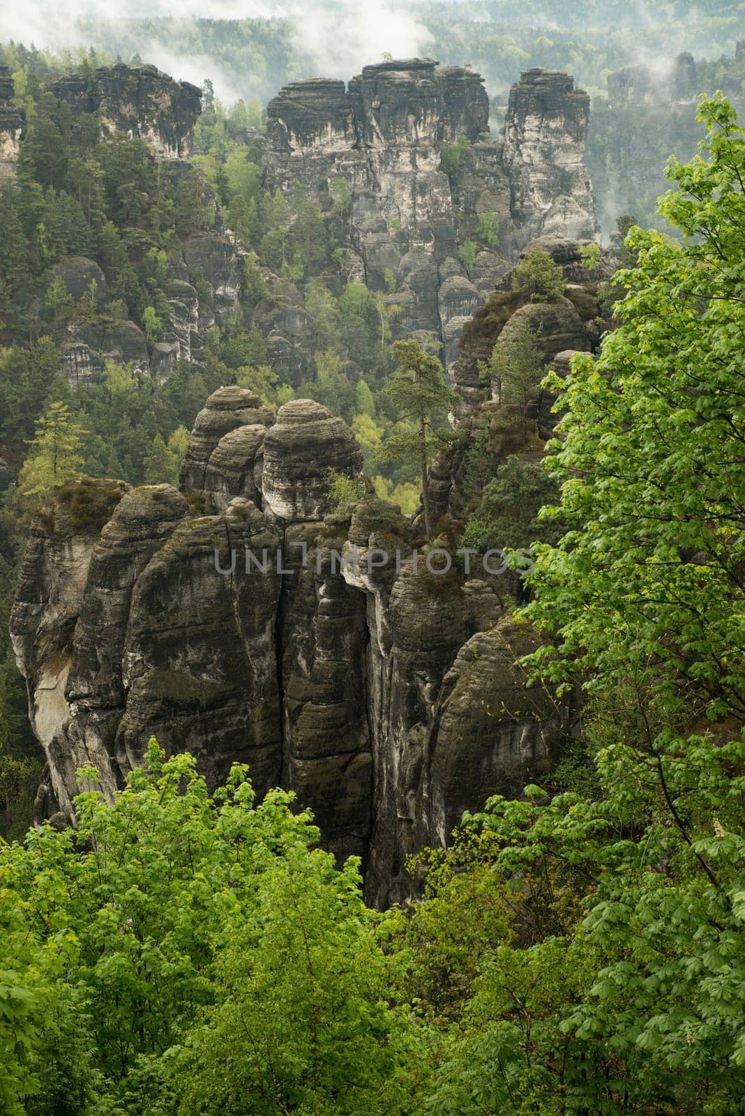 Bastei in the elbe sandstone mountains in the saxon switzerland in Germany, Elbsandsteingebirge near Dresden
