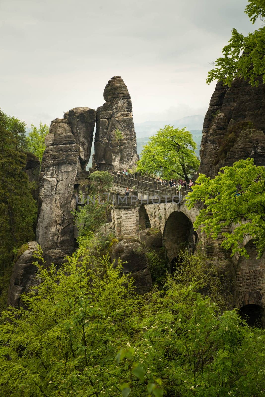 Bastei in the elbe sandstone mountains in the saxon switzerland in Germany, Elbsandsteingebirge near Dresden