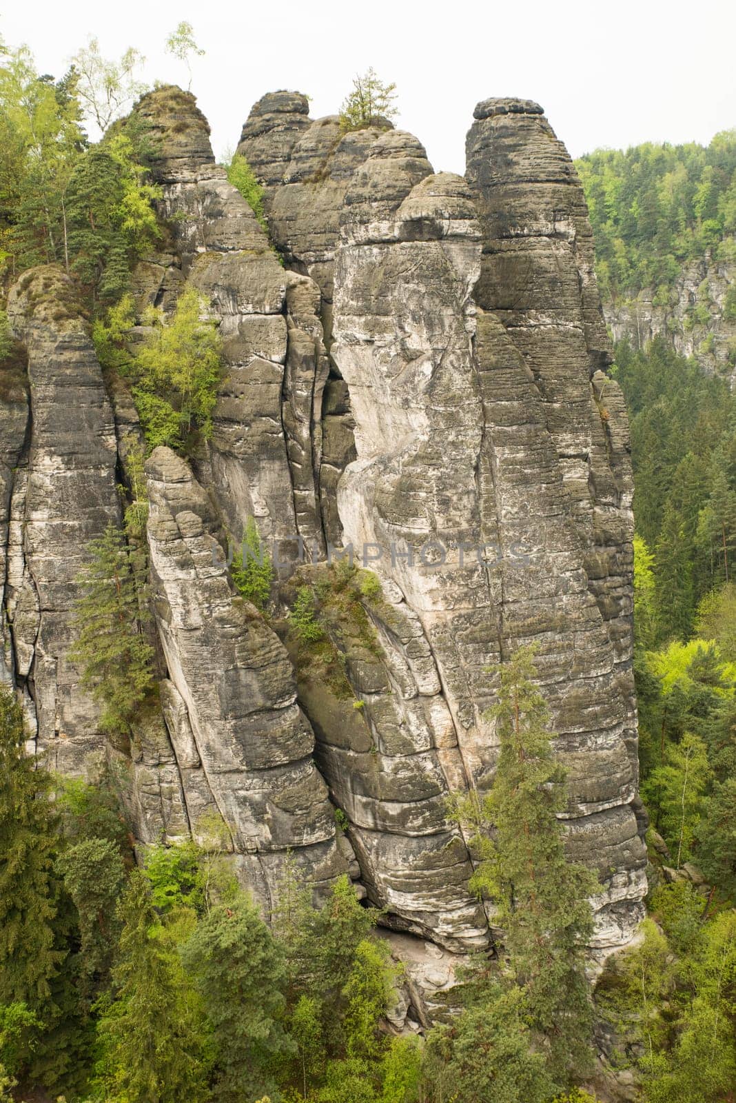 Bastei in the elbe sandstone mountains in the saxon switzerland in Germany, Elbsandsteingebirge near Dresden