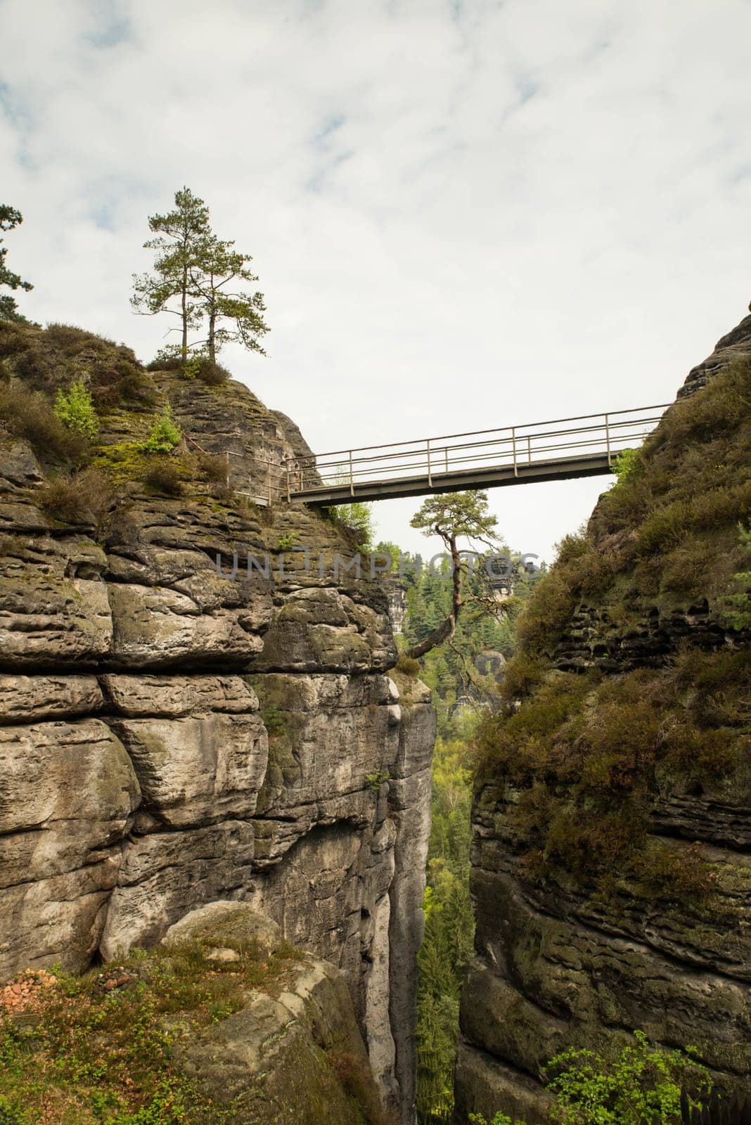Bastei in the elbe sandstone mountains in the saxon switzerland in Germany, Elbsandsteingebirge near Dresden