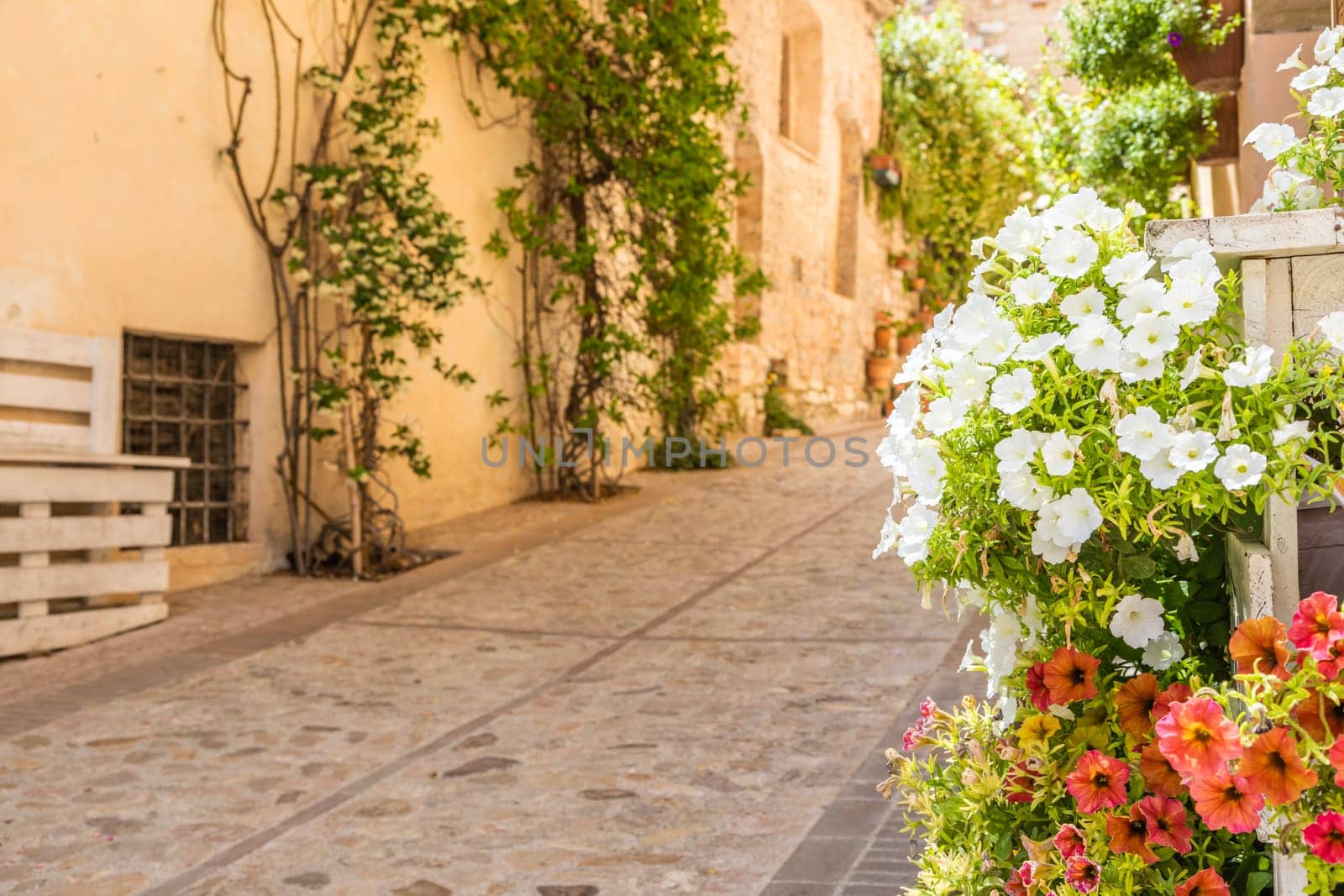 Spello, Italy - Circa June 2021: flowers in ancient street. Spello is located in Umbria region, Italy.