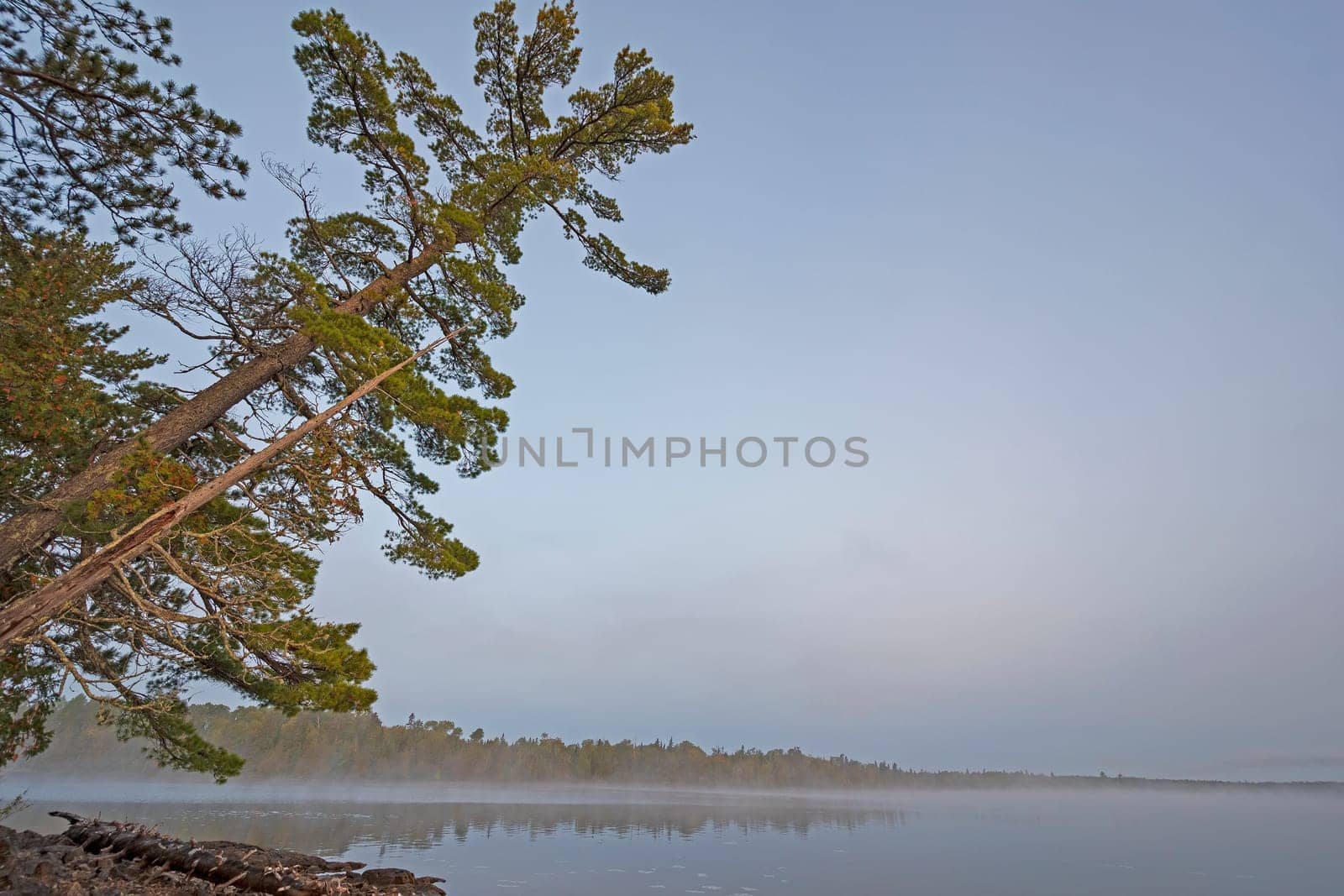 Misty Morning in the Great North Woods on Saganaga Lake in the Boundary Waters in Minnesota