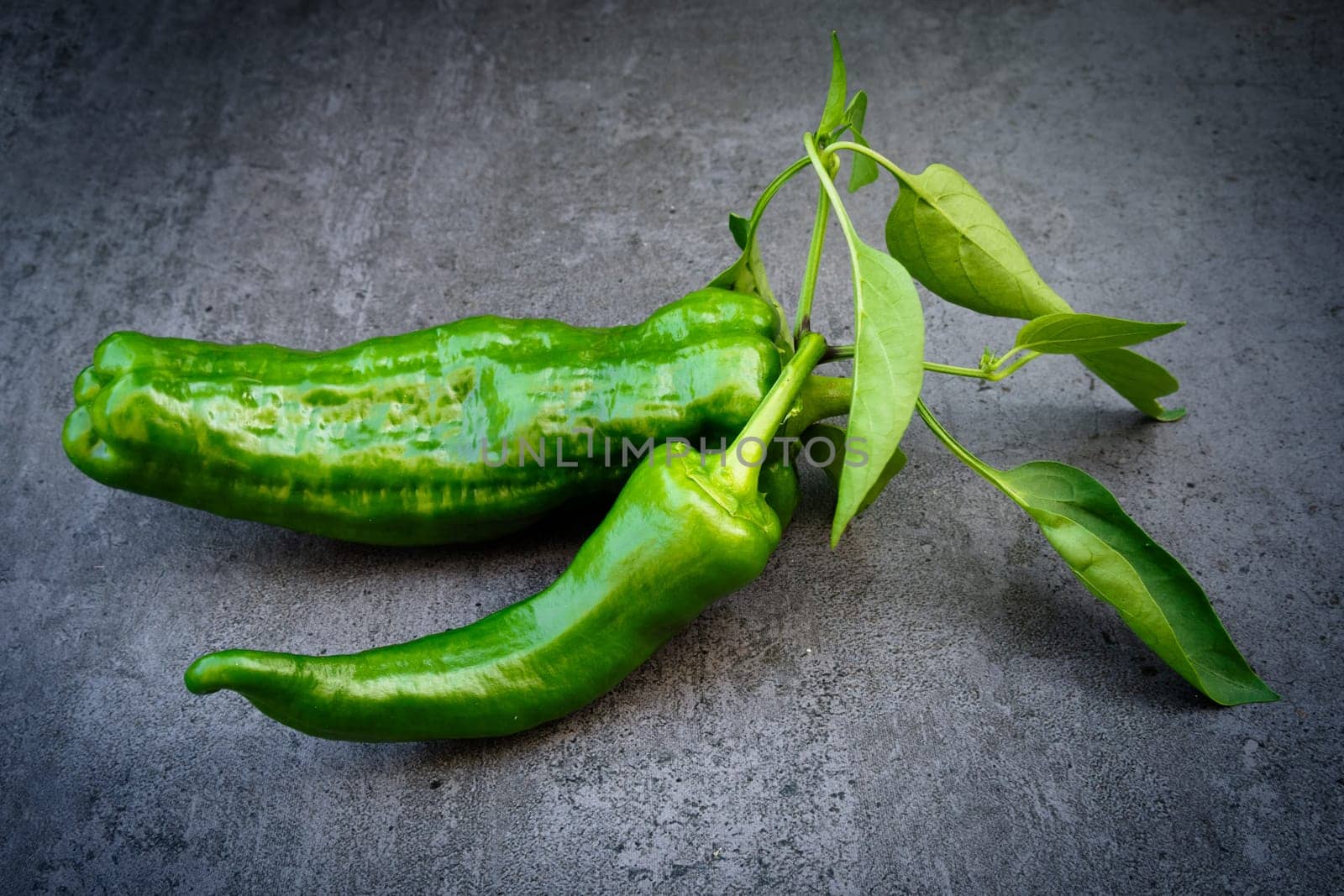 Green pepper with leaves over dark background