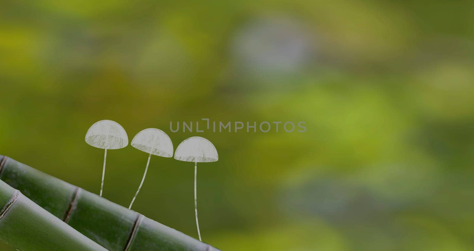 The 3d rendering Mushroom Wallpaper with nice background color
