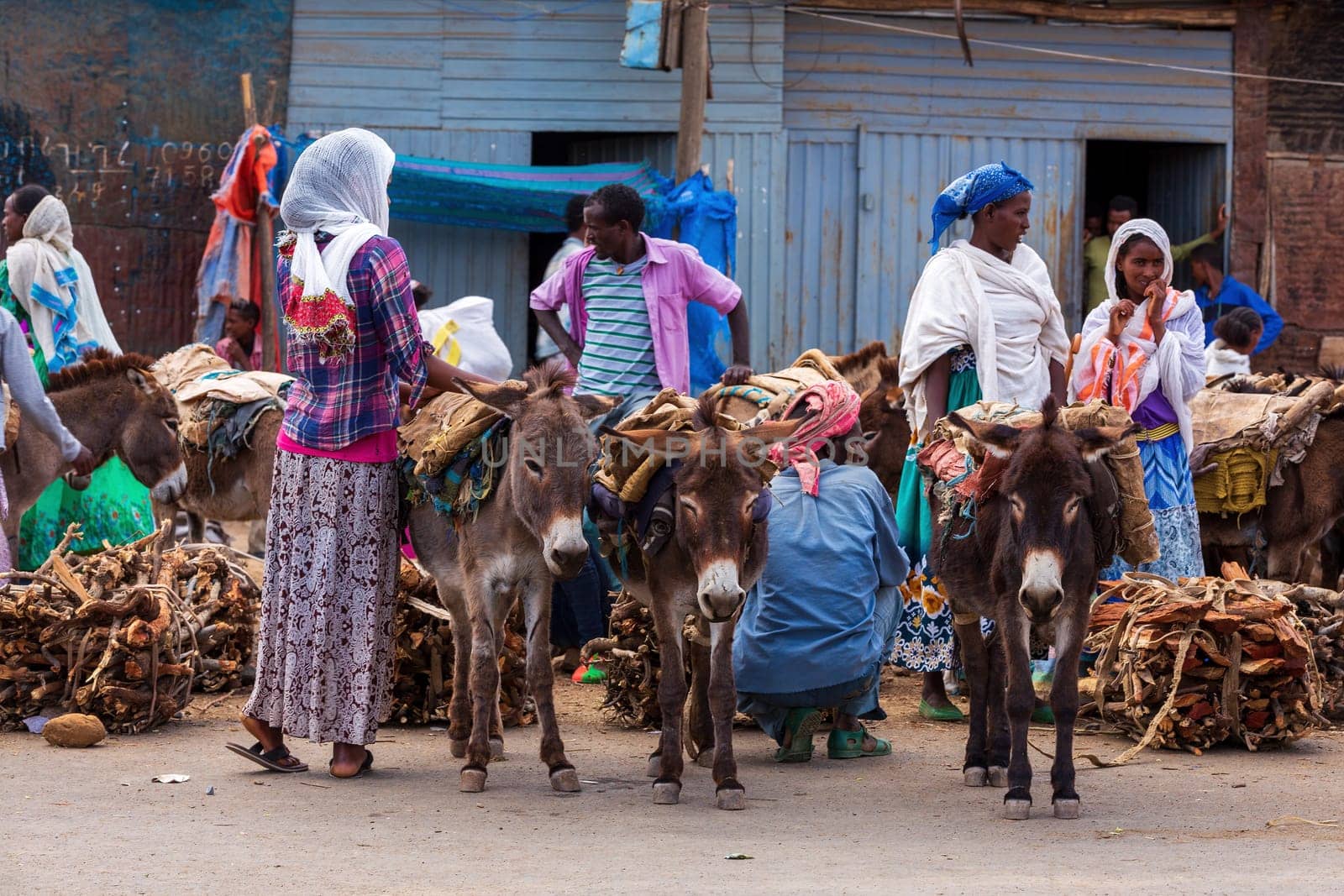 AXUM, ETHIOPIA, APRIL 27th 2019: Tigray native people selling firewood loaded on dirty donkeys on the main street of Aksum on April 27, 2019 in Aksum, Ethiopia Africa