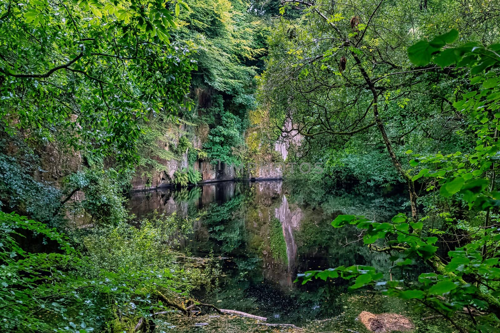 Lake in Kennall Vale Nature Reserve, Ponsanooth, Cornwall, United Kingdom