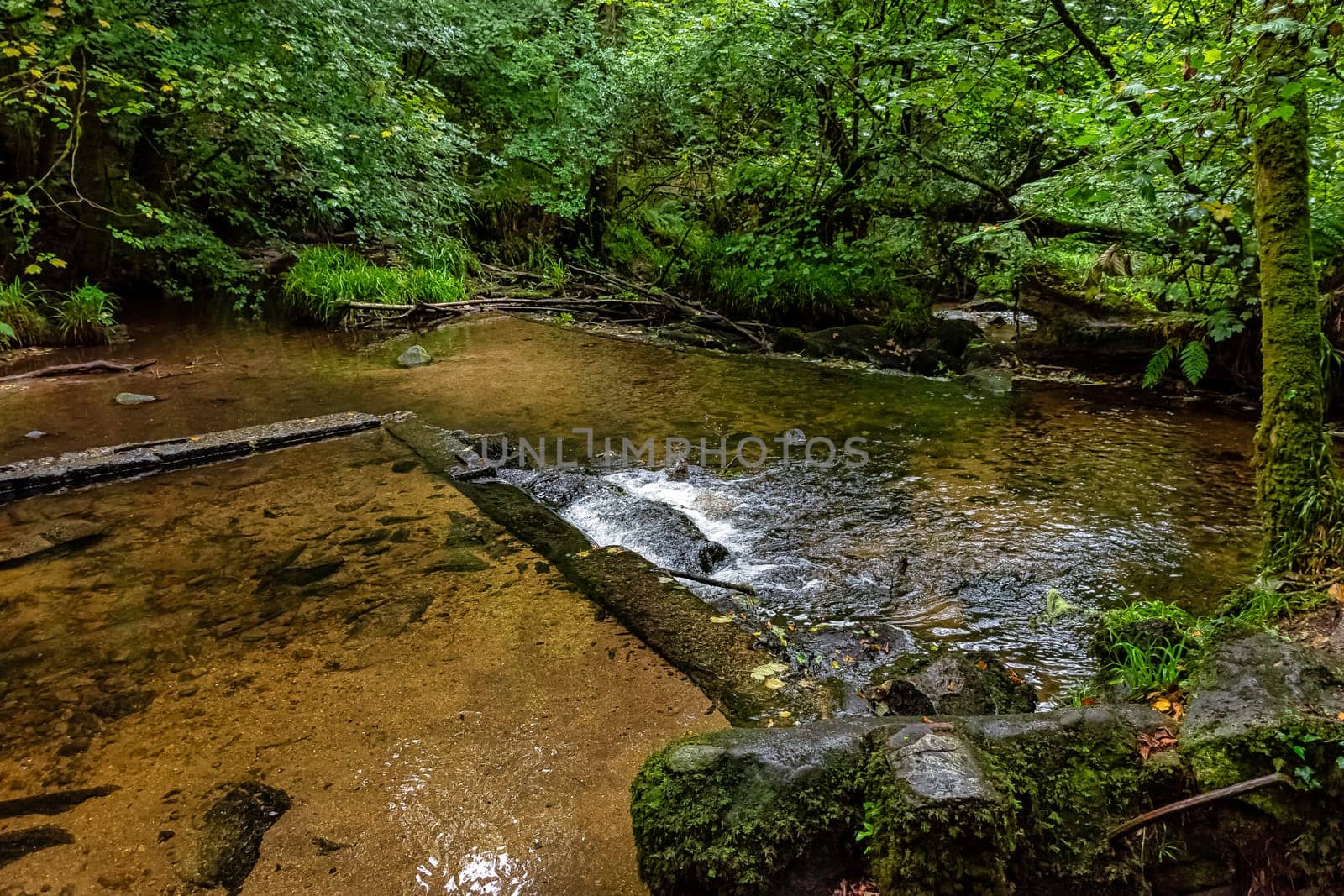 Kennall river in Kennall Vale Nature Reserve, Ponsanooth, Cornwall, United Kingdom