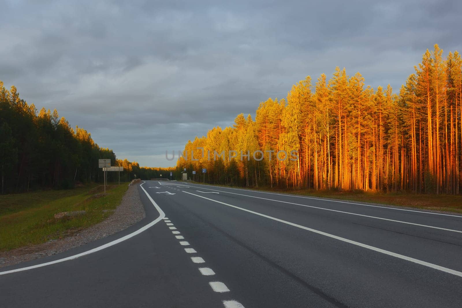 Empty asphalt highway with markings among the forest at sunset. Trees are painted with golden and red sunlight under gray sky. Traveling along the A-119 road in Russia. Space for copy.