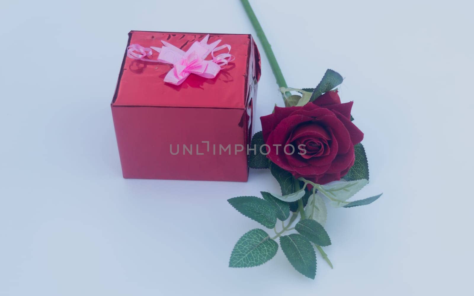 Gift box with a ribbon and a red rose in white background. Low angle view. Copy Space.
