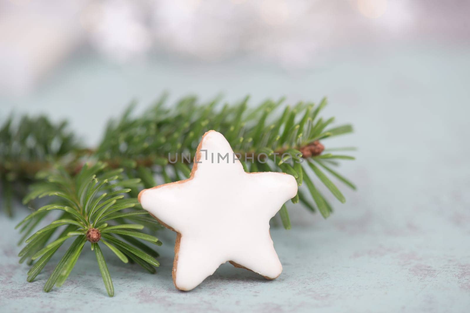 Cinnamon stars, traditional german christmas cookies, gingerbread, empty copy space, fir branch