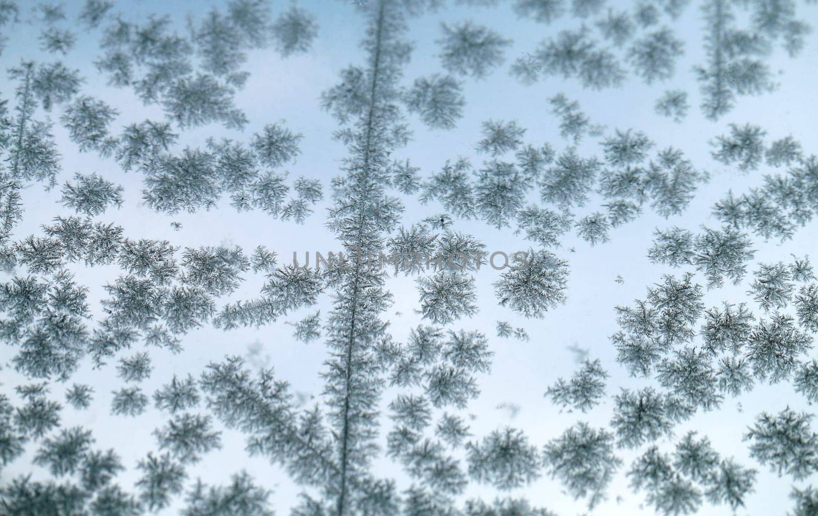 Snowflakes frozen glass windows is photographed close up