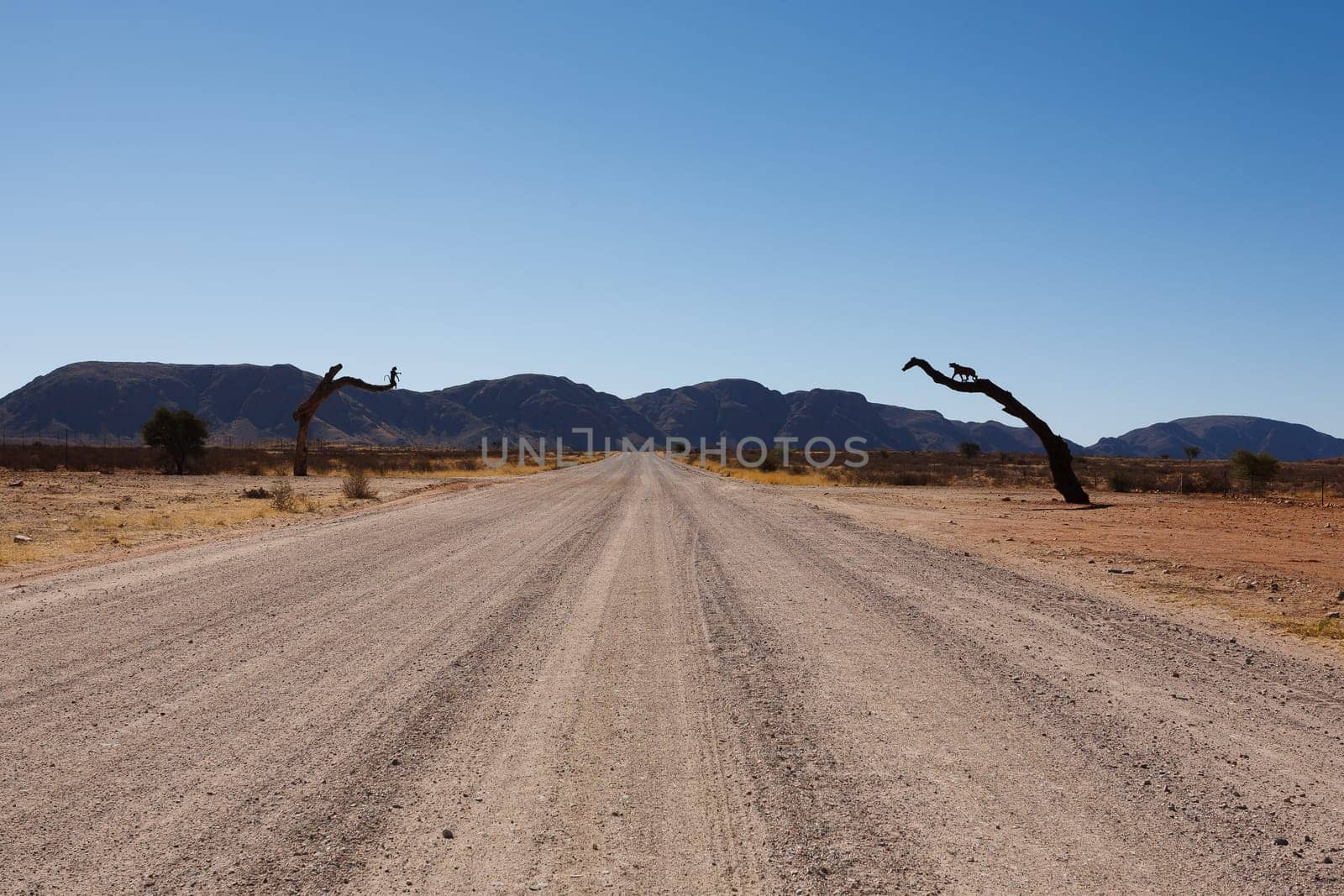 Dirt namibian road from Mariental to Sossusvlei
